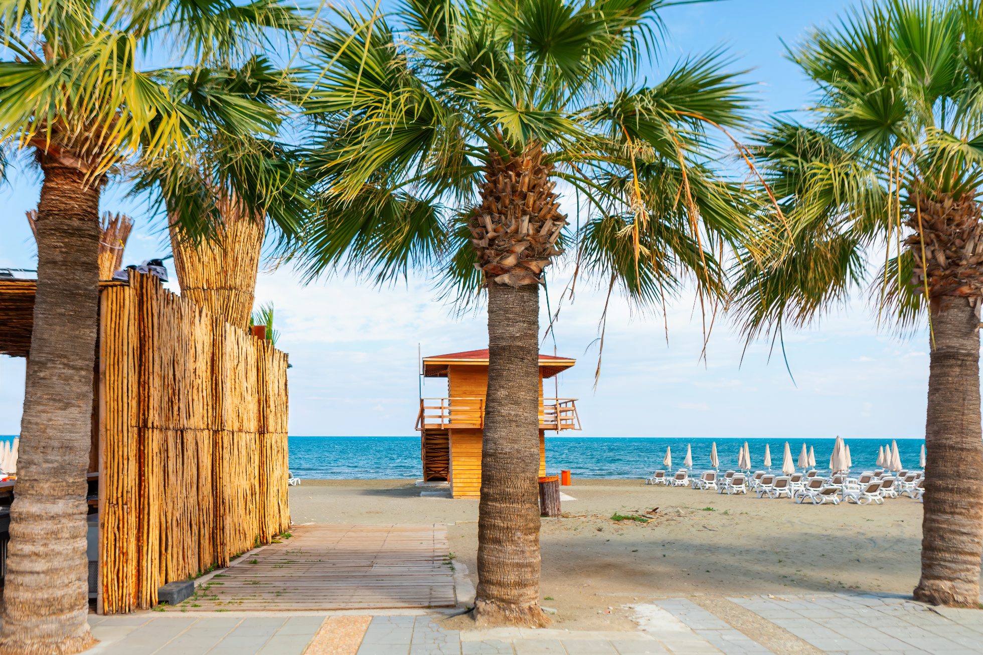 Plaża Mackenzie w Larnace na Cyprze. Tropikalna plaża z palmami.