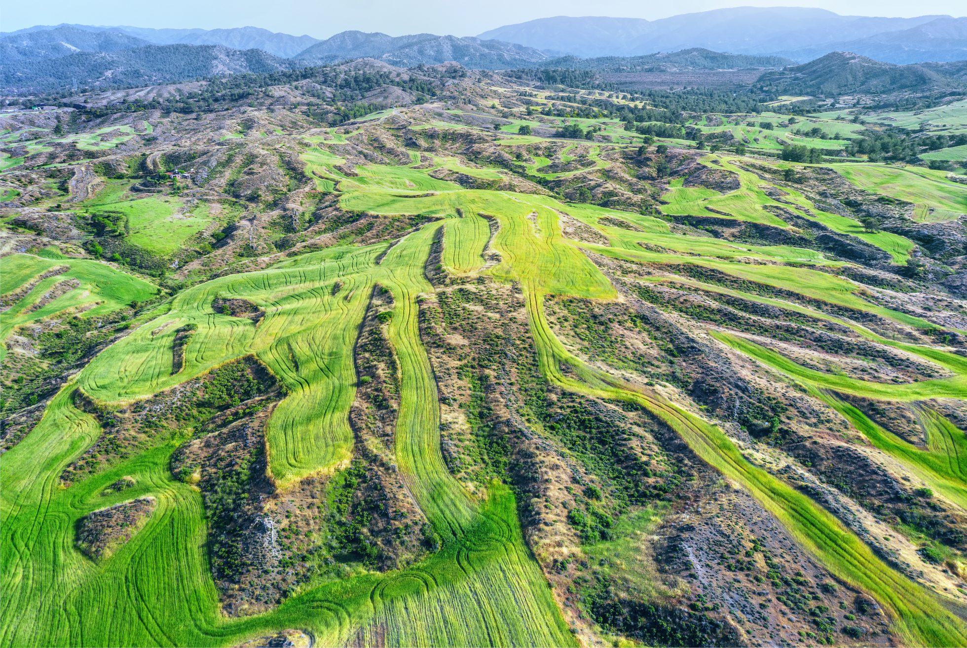 Góry Troodos, Cypr