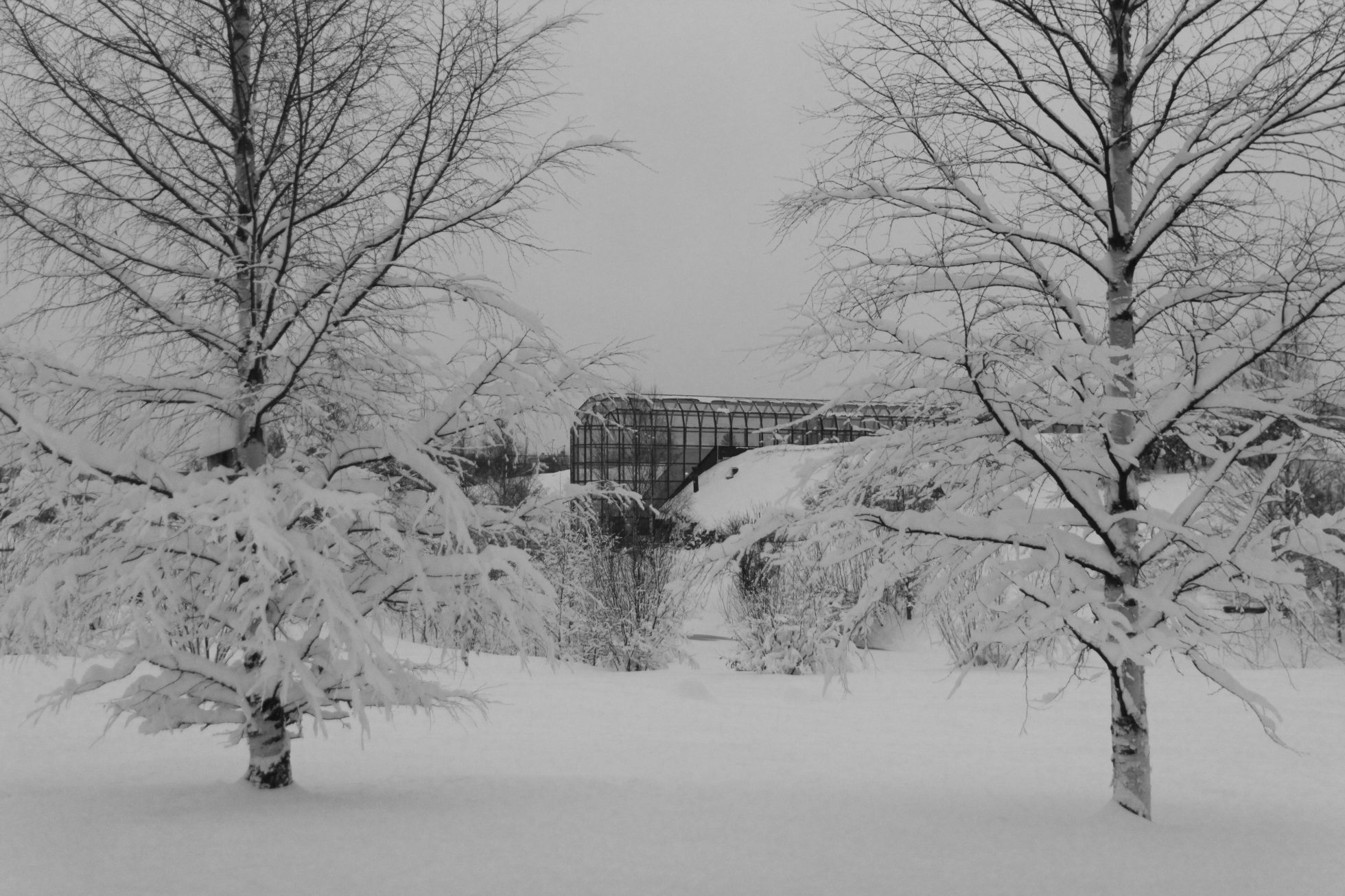 Muzeum Arktyki w Rovaniemi