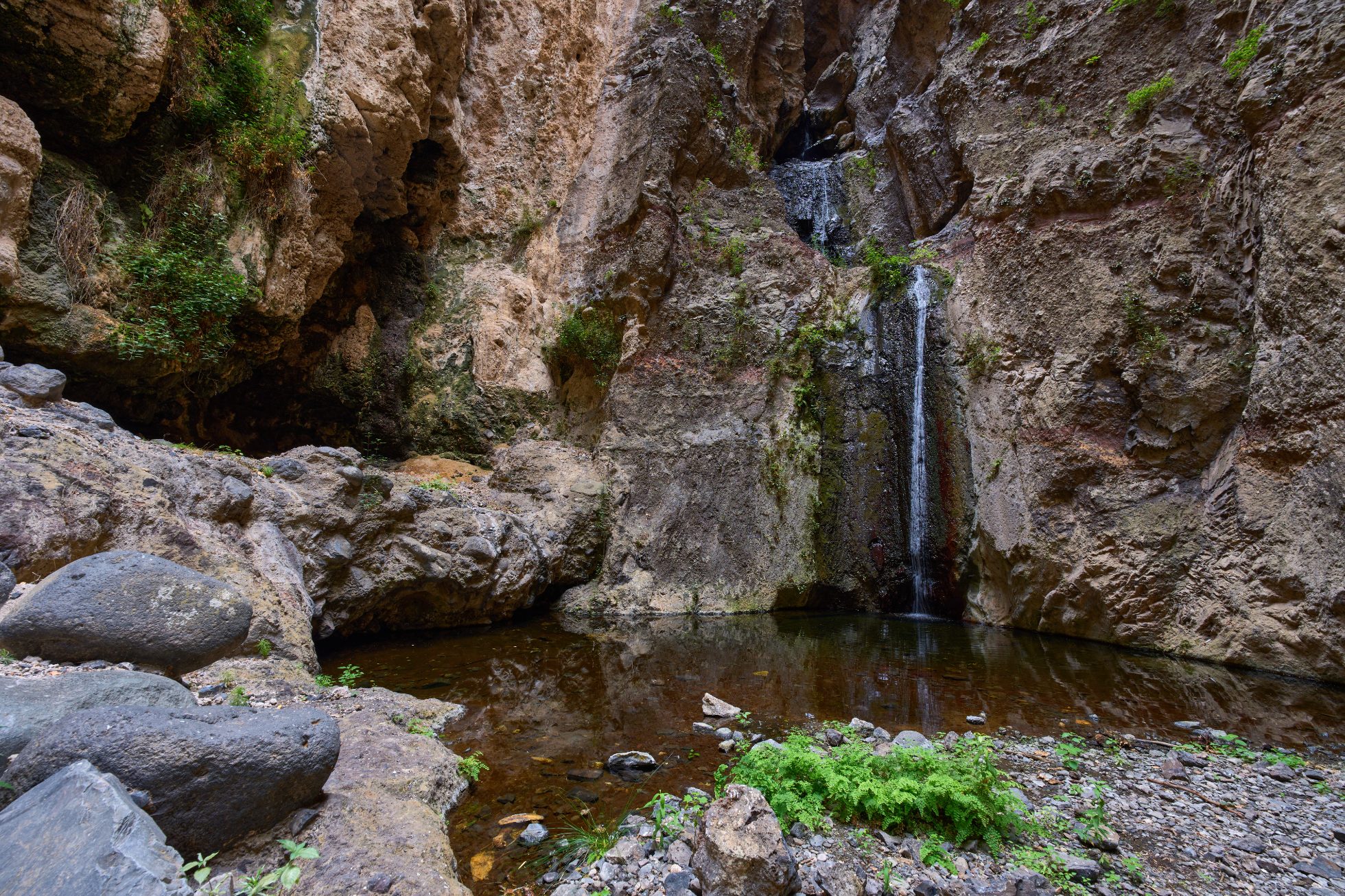 Wodospad Barranco del Infierno spada kaskadą do spokojnego basenu otoczonego wysokimi ścianami skalnymi pochodzenia wulkanicznego; jest to jedyny naturalny, stały wodospad na Teneryfie
