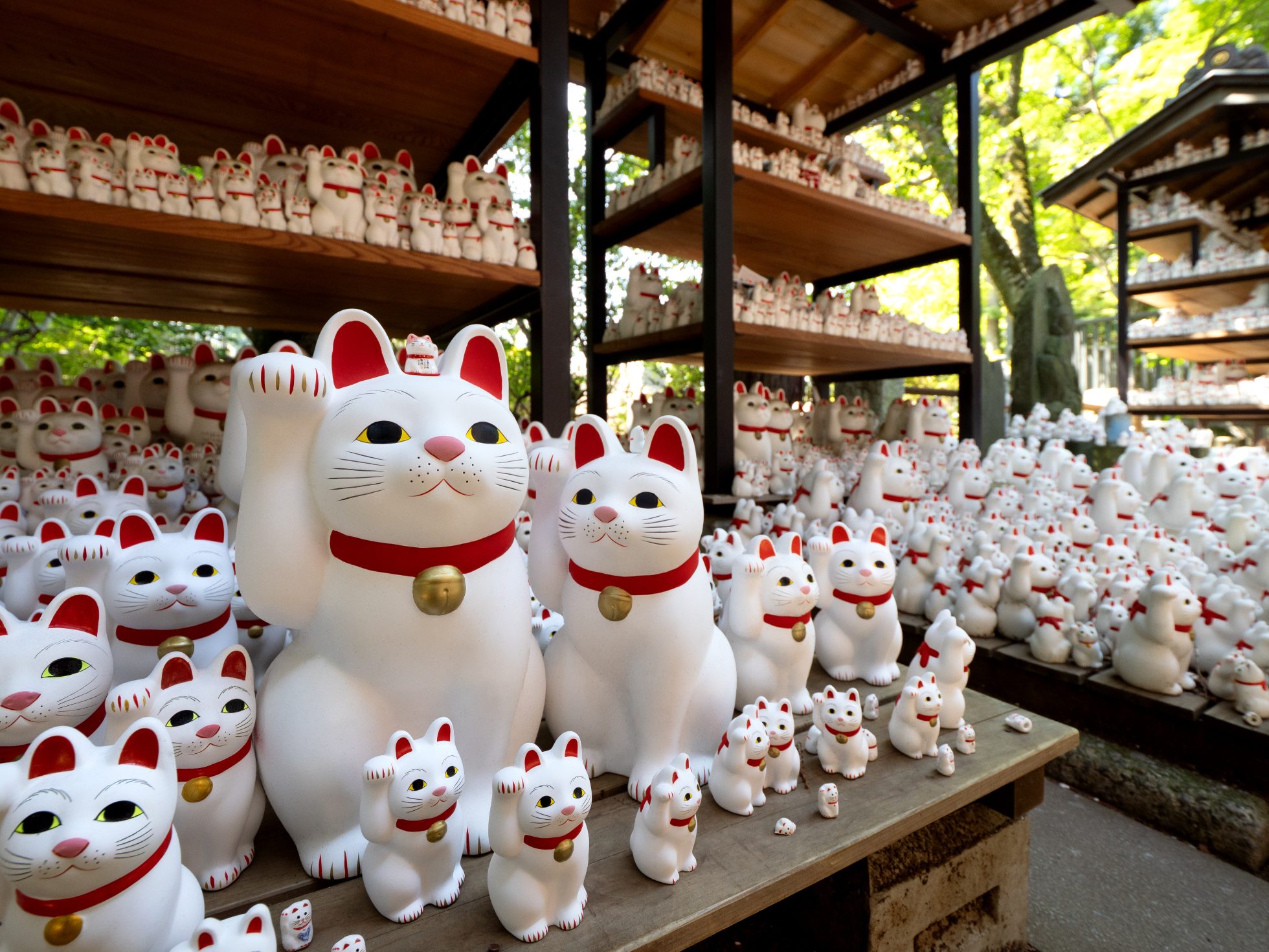 Maneki-neko (kotki przywołujące szczęście) ustawione w rzędzie w świątyni Gotokuji