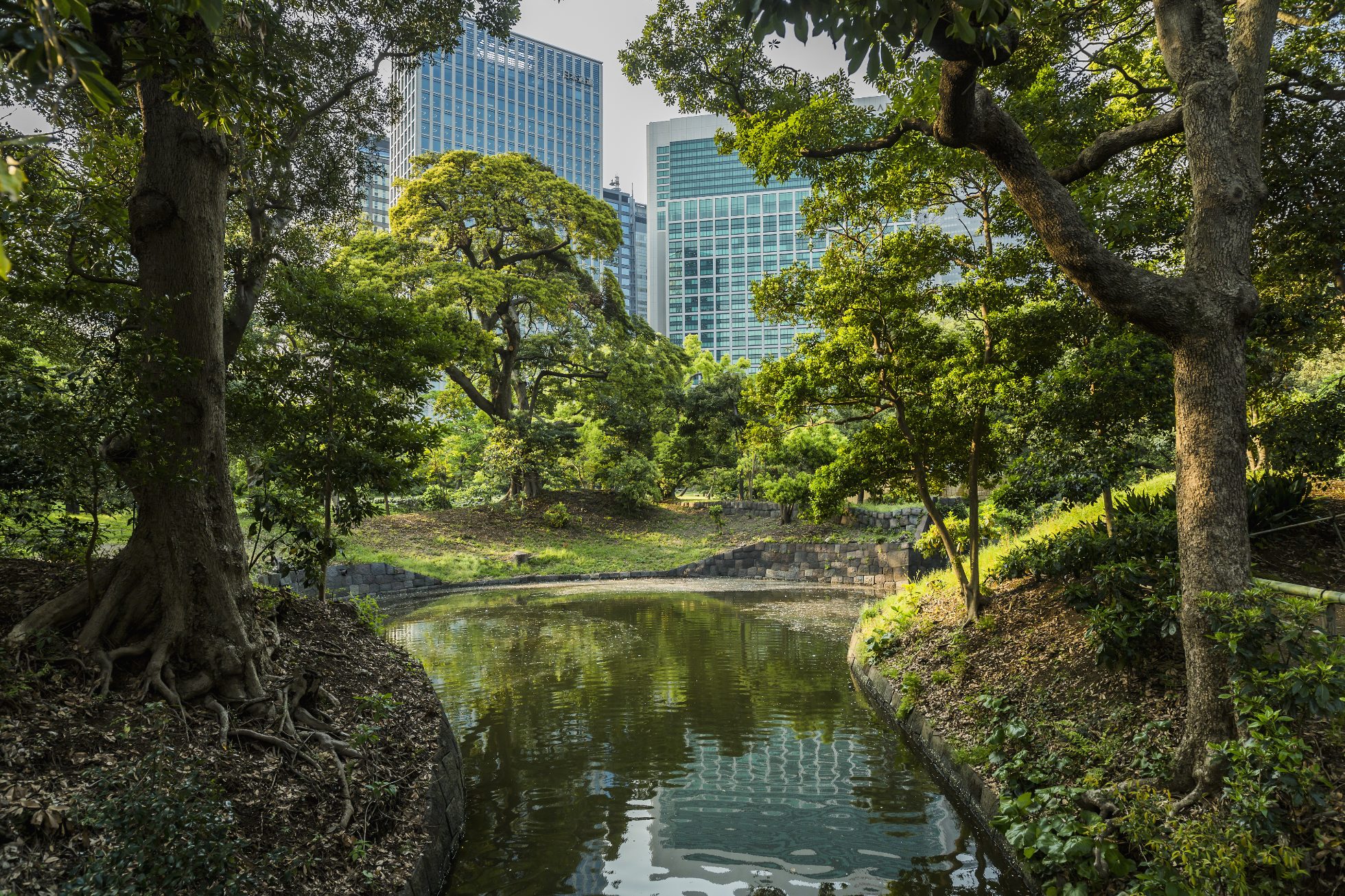 Shiodome, Hama Rikyu Onshi-Teien (Ogród Pałacu Hama Rikyu), kanał. Hama Rikyu Onshi-Teien, znany również jako Ogrody Hama Rikyu, to park publiczny w centrum Tokio. W parku znajdują się stawy z wodą morską, których poziom zmienia się wraz z pływami (park otoczony jest fosą z wodą morską z Zatoki Tokijskiej), a także herbaciarnia położona na środku stawu. Ten ogród w tradycyjnym stylu stanowi wyraźny kontrast w stosunku do drapaczy chmur sąsiedniej dzielnicy Shiodome.