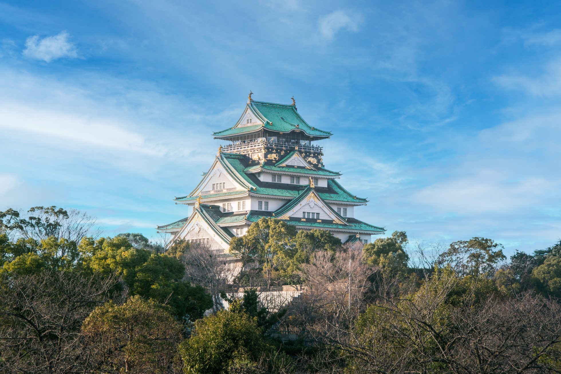 Zamek Osaka rano