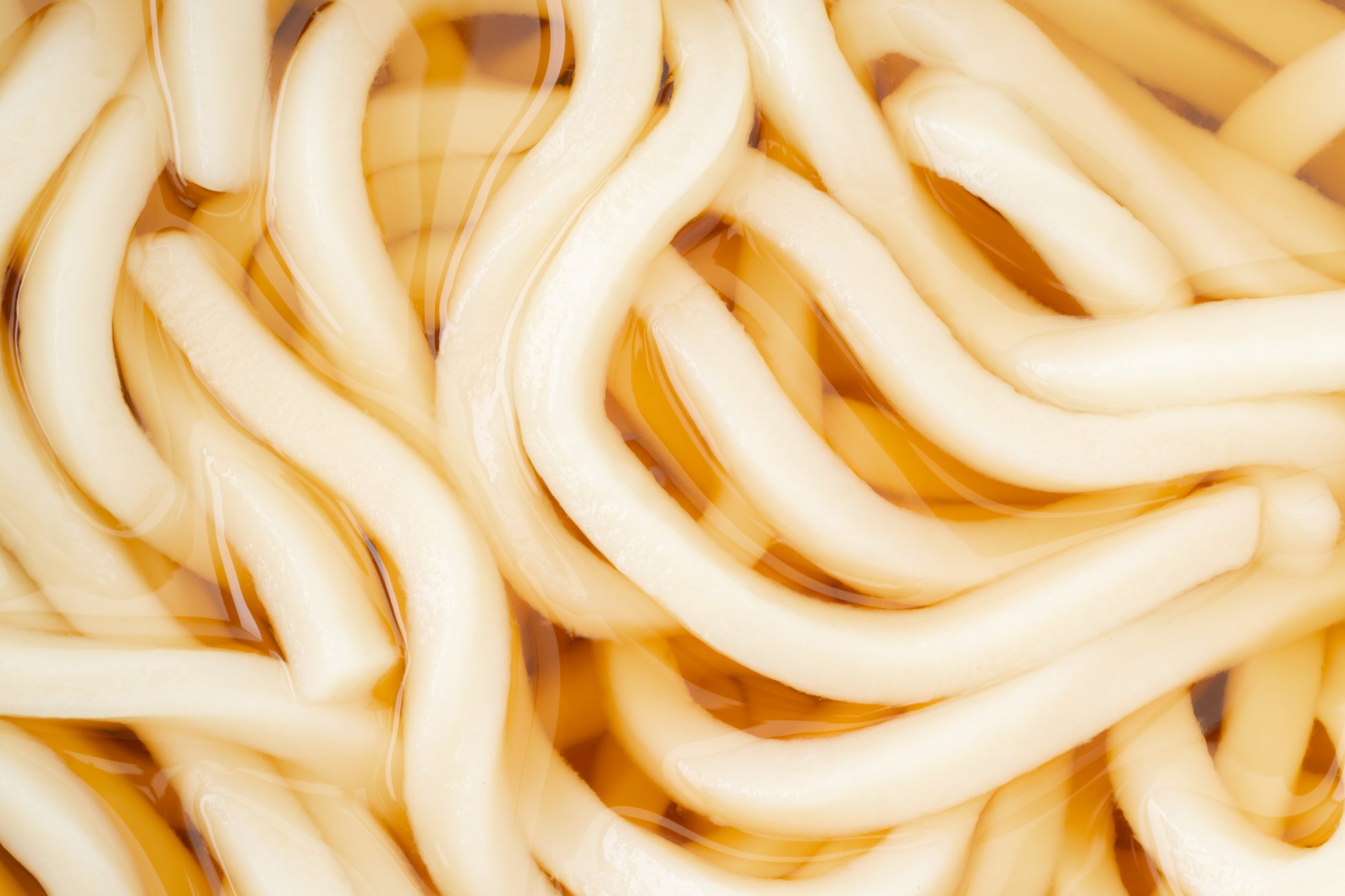 Zbliżenie na zwykły makaron udon (kake udon)
