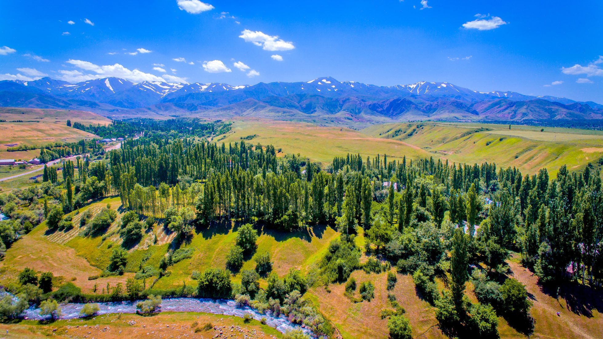 Letni krajobraz Kazachstanu