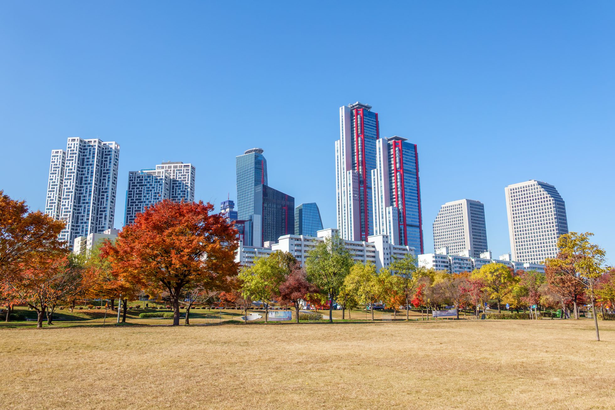 Autumn in Yeouido and Hangang Park, Seoul