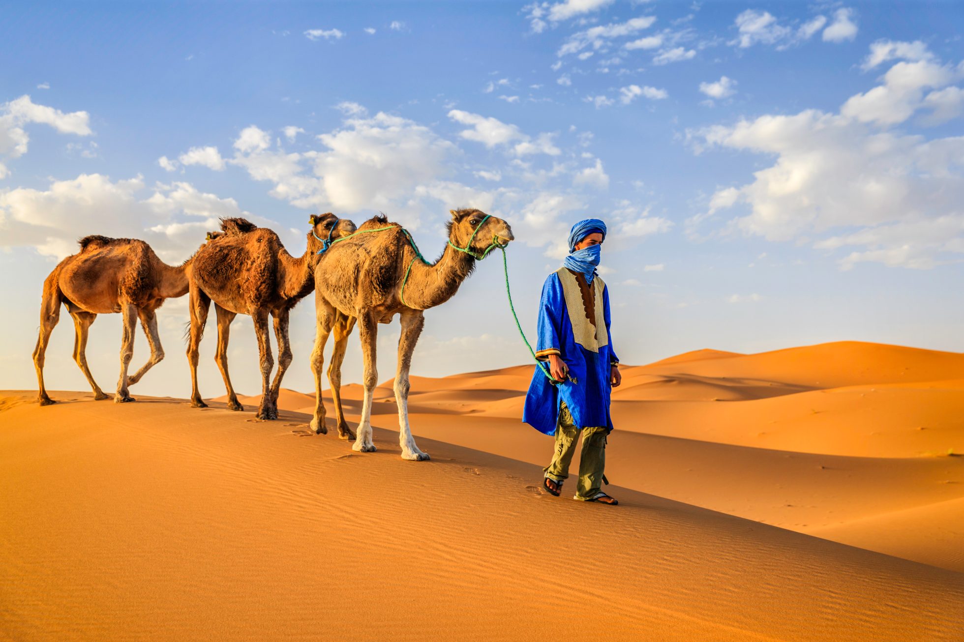 Mężczyzna z wielbłądami w zachodniej części pustyni Sahara w Maroku.
