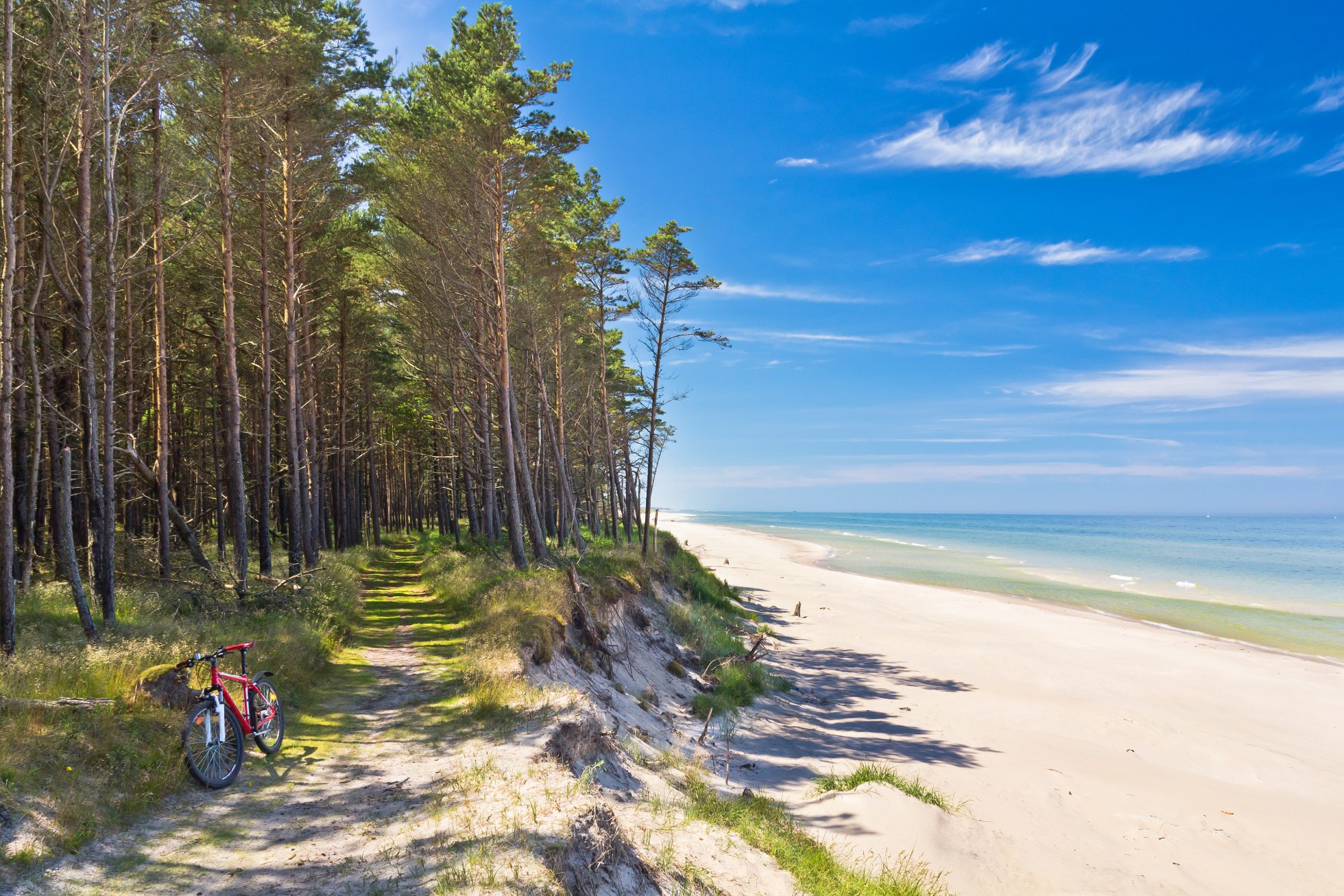 Frühlingslandschaft der polnischen Küste mit einem Wald und einem Fahrrad im Hintergrund