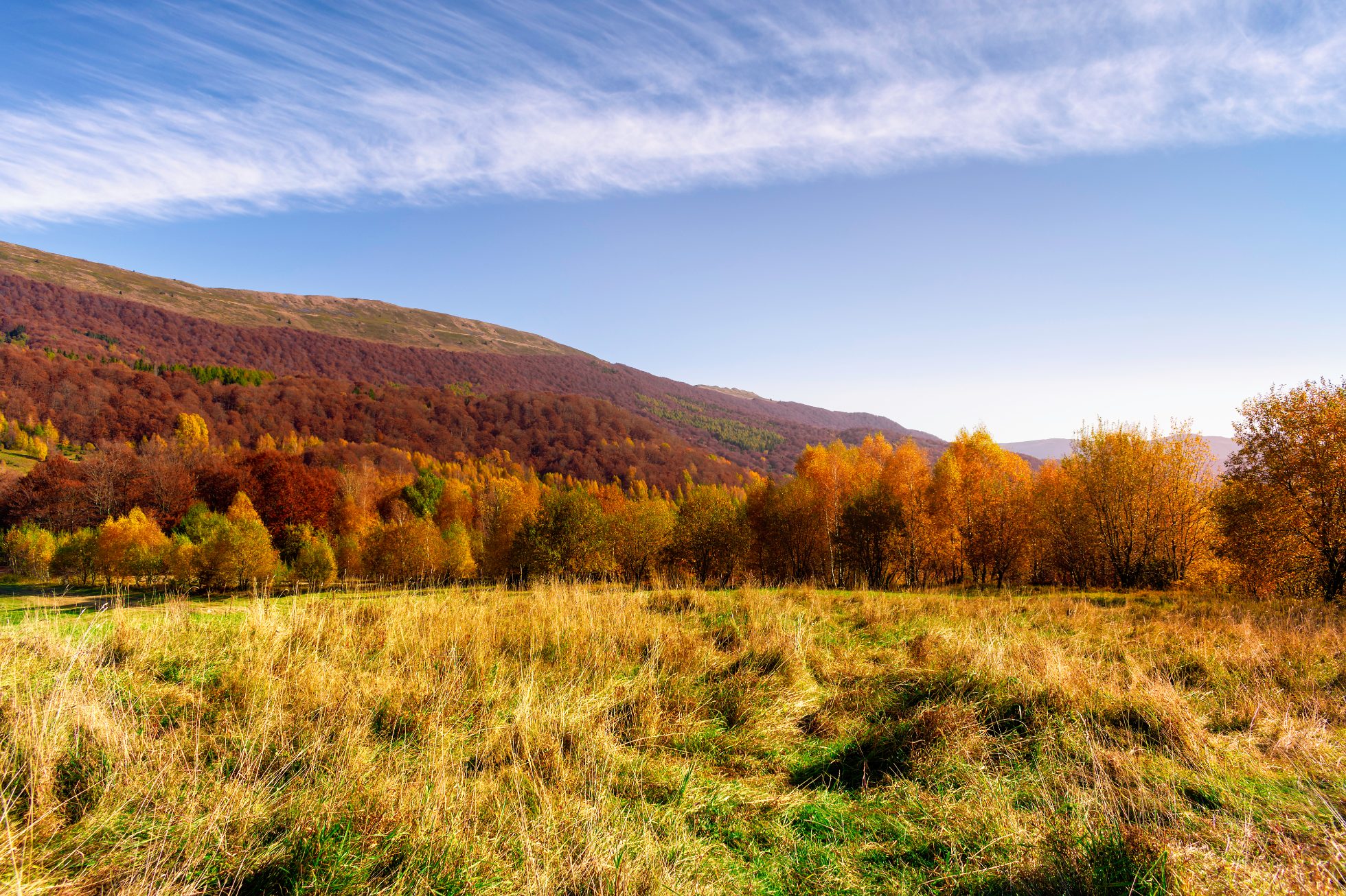 Do najpiękniejszych miejsc w Polsce jesienią należą Bieszczady, złota polska jesień