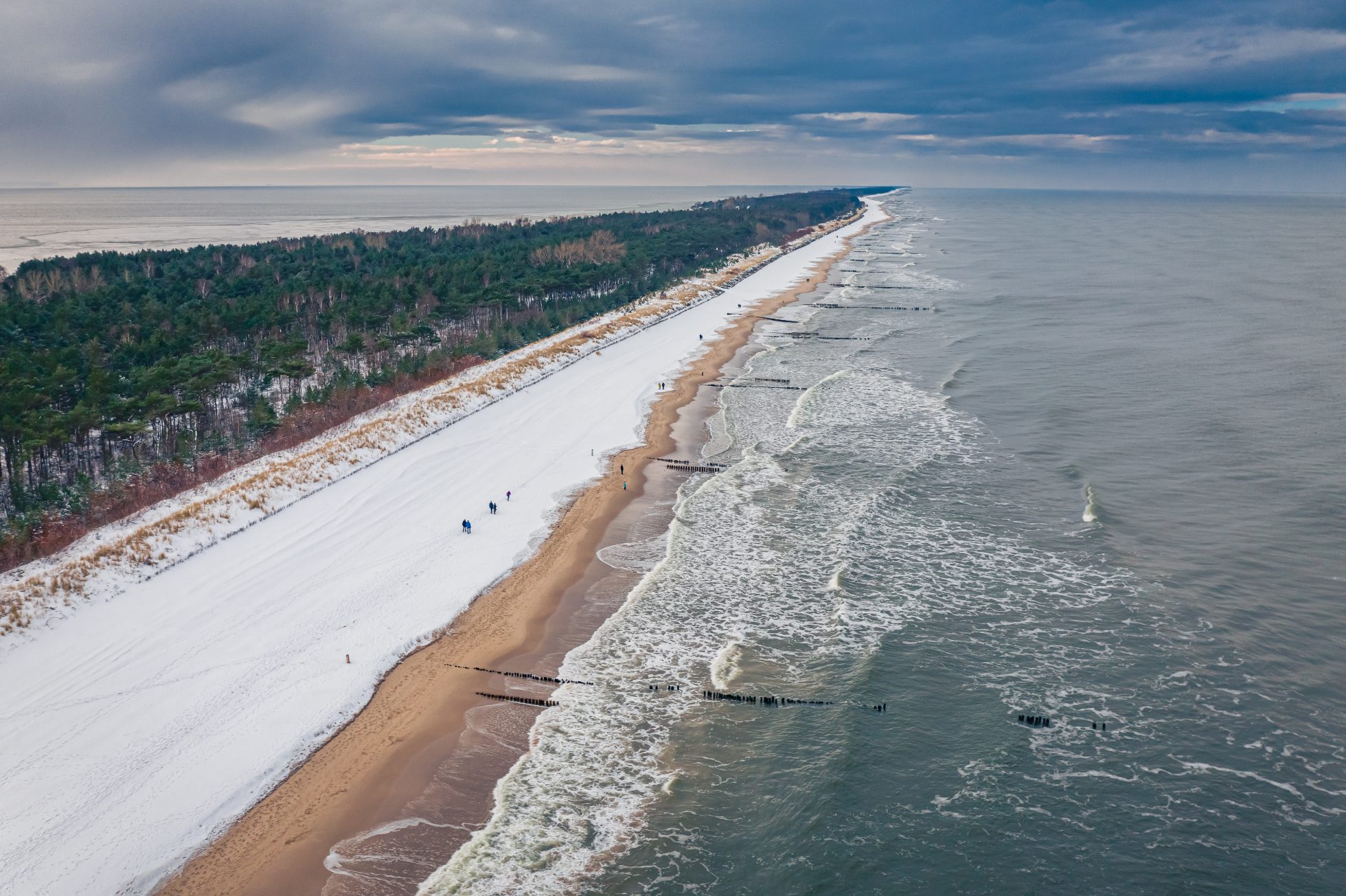 Zimowa sceneria na półwyspie Hel.śnieg pokrywa plażę i drzewa, a morze jest zamarznięte.