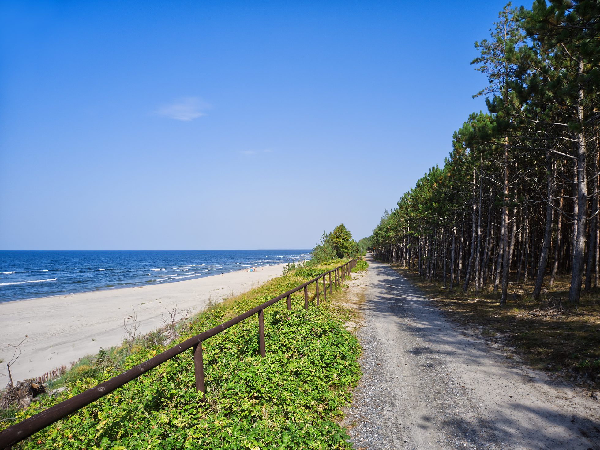 playa junto al bosque