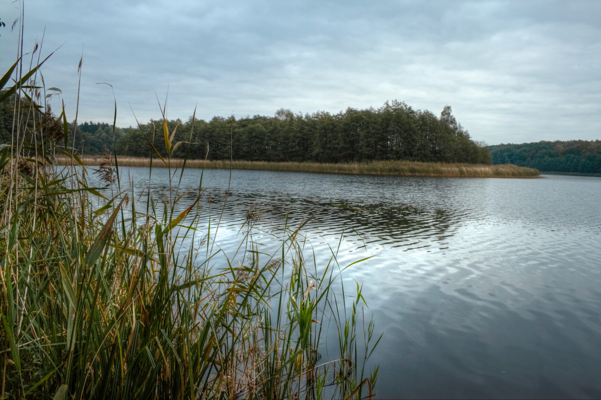 Wielkopolski Park Narodowy