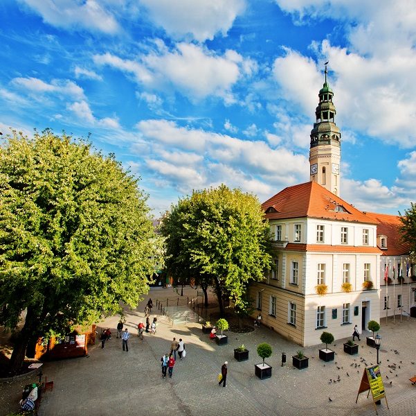 widok na zamek w Zielonej Górze