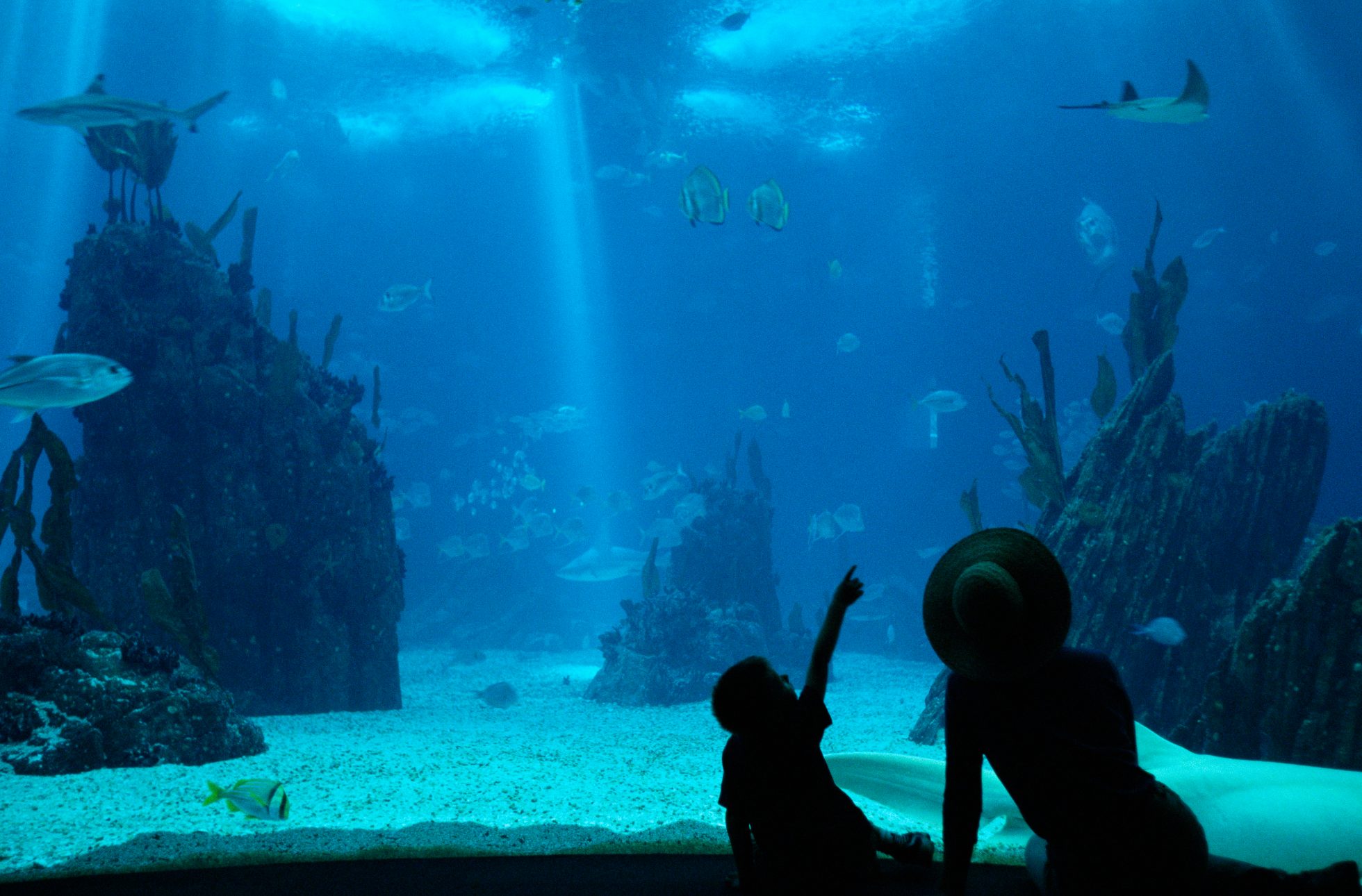 Dzieci w Oceanarium w Lizbonie, Lizbona atrakcje