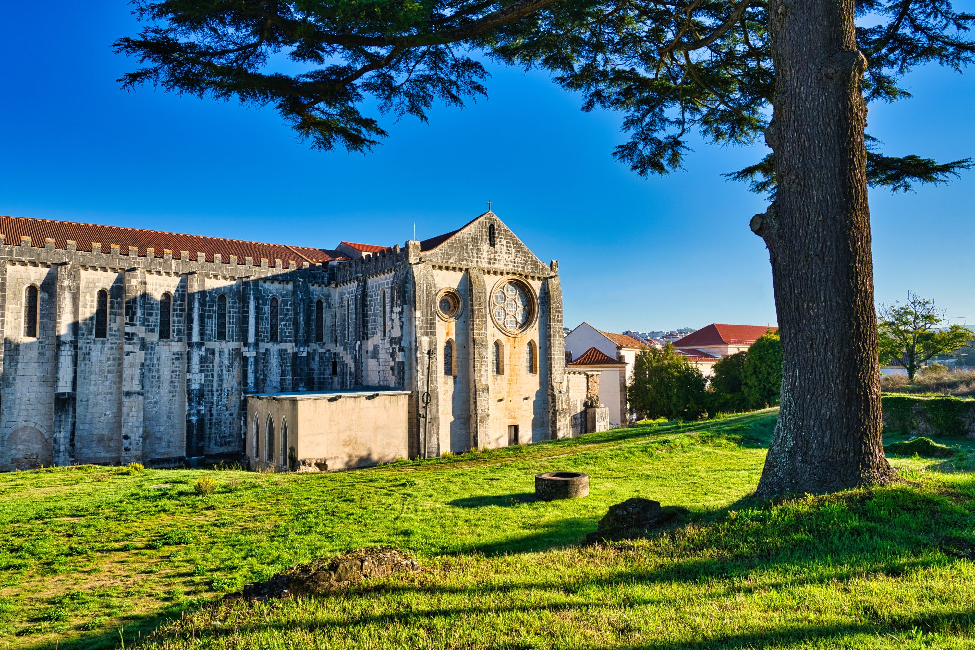Opuszczone opactwo w Alcobaça, Portugalia. Ruiny klasztoru otoczone zielenią.