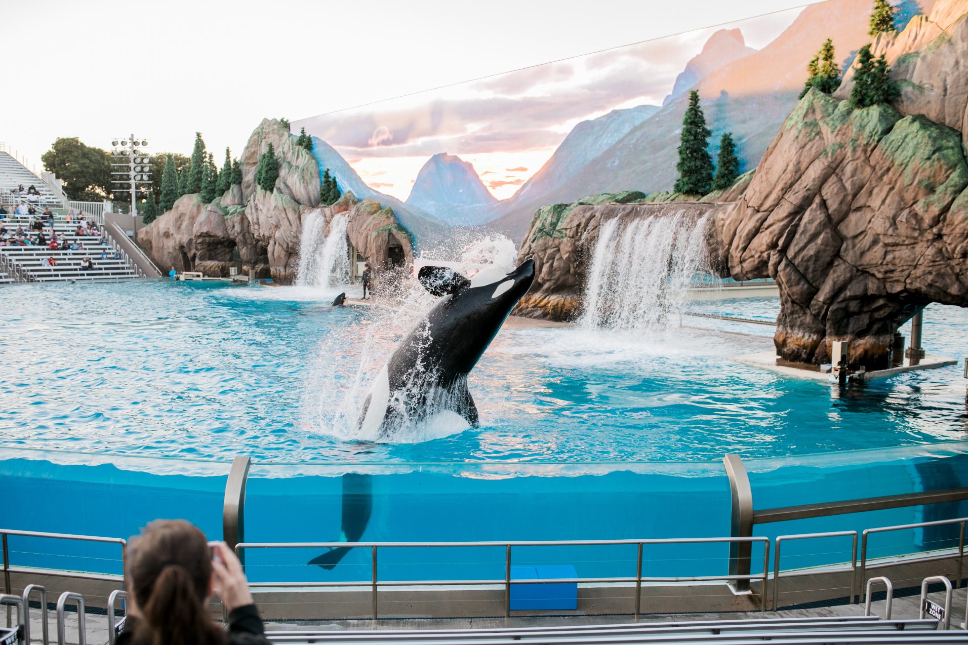 Wakacje w Kalifornii z dziećmi: Sea World w San Diego