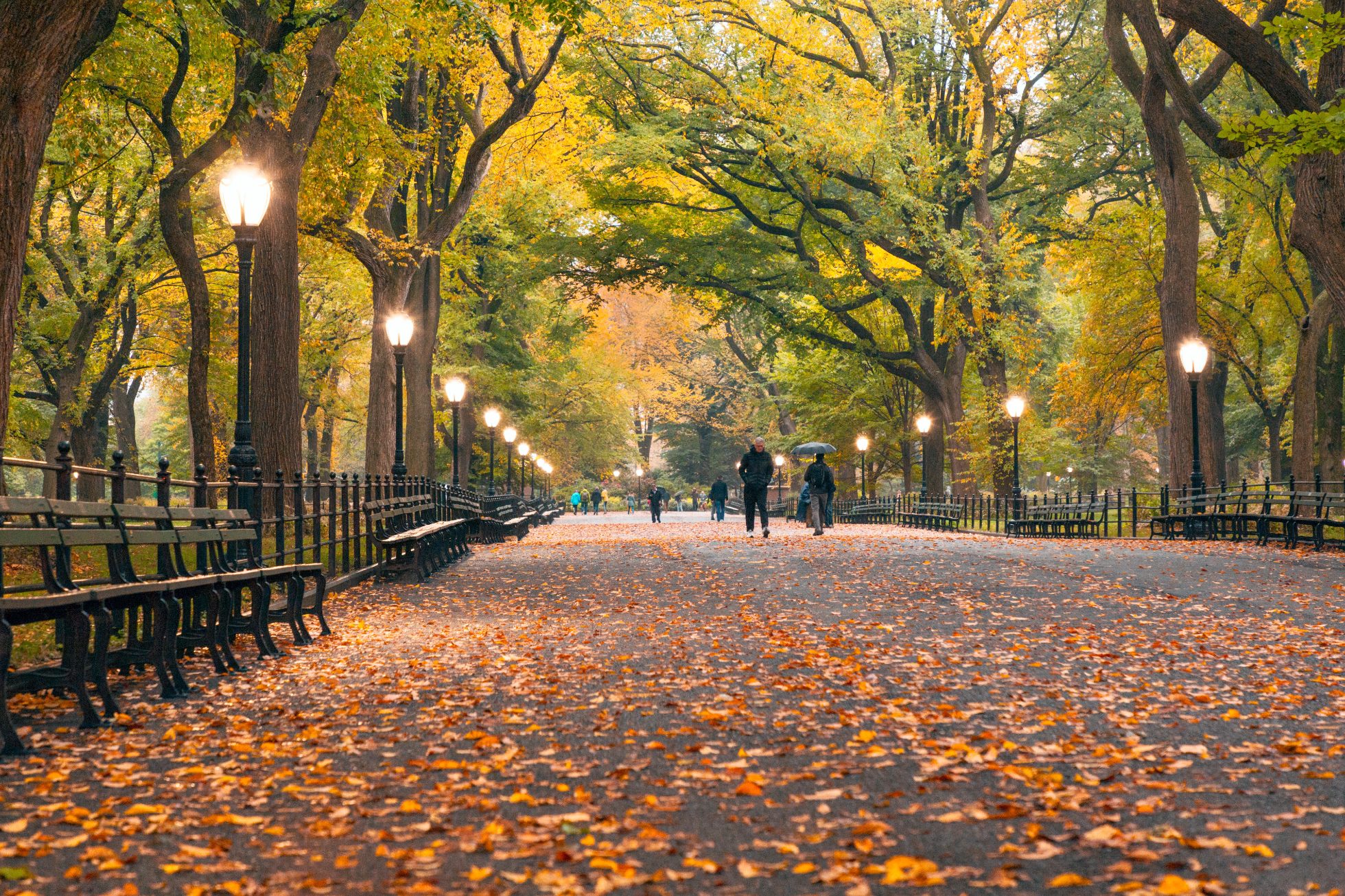 Central Park w Nowym Jorku