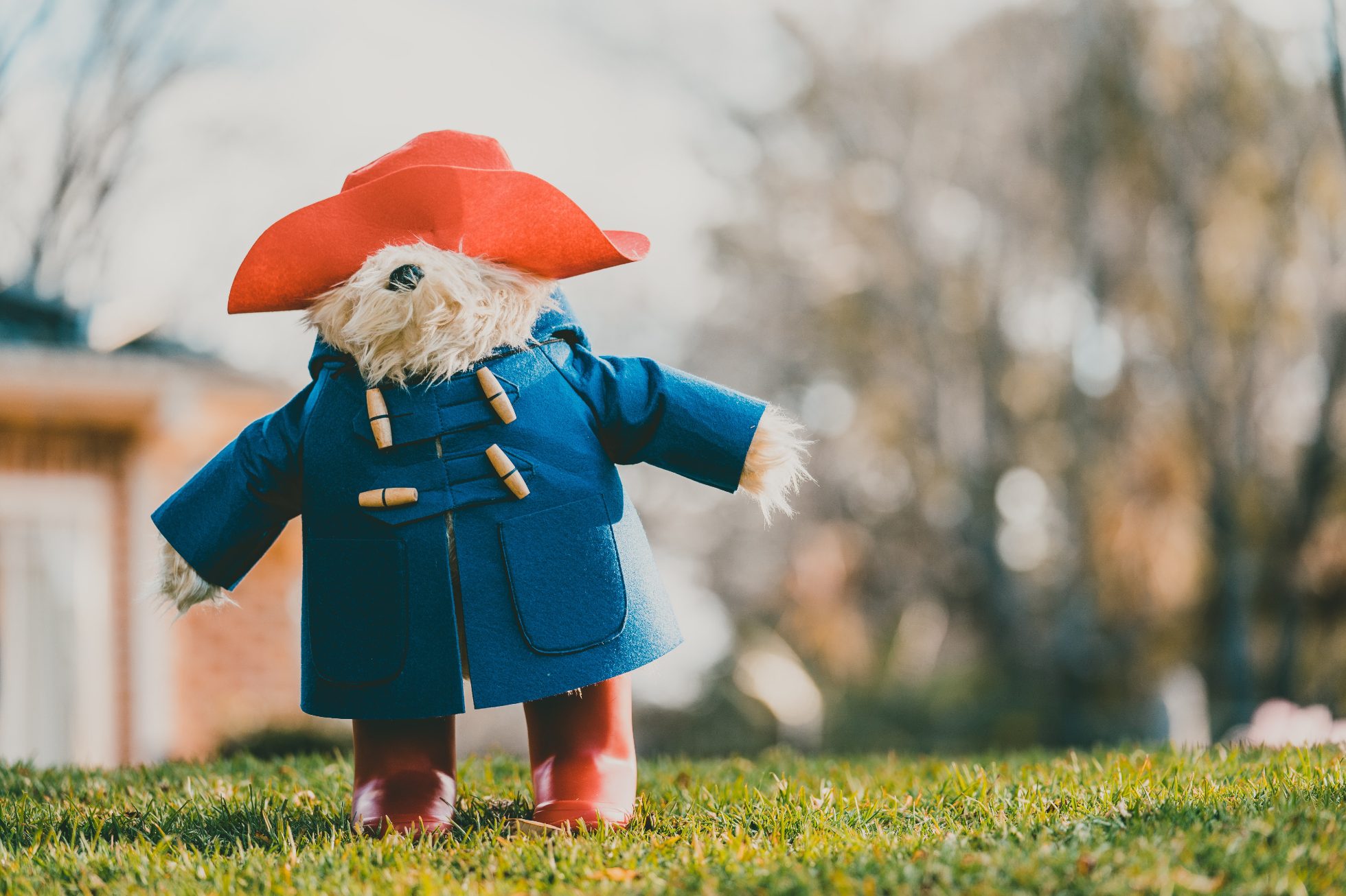 miś Paddington stojący na trawie, jesienne filmy