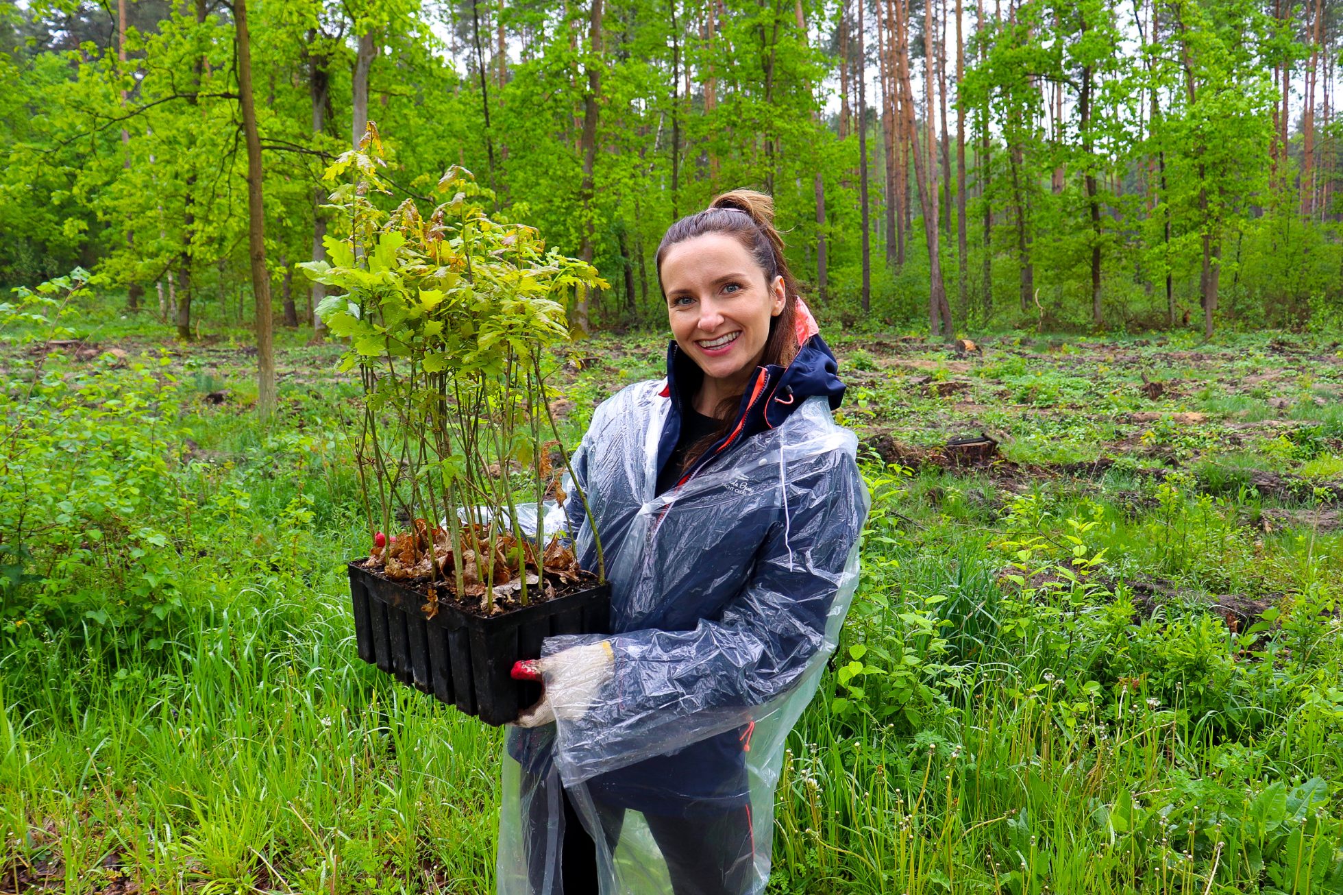 Tree planting campaign