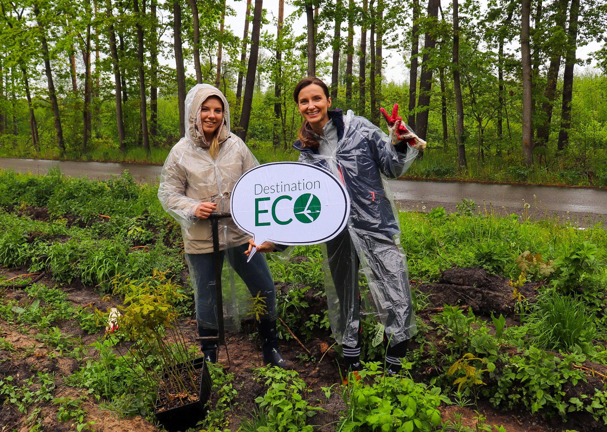 People planting trees in a forest.
