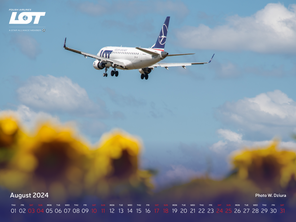 A photo of a plane hovering over the sky with sunflowers in the background