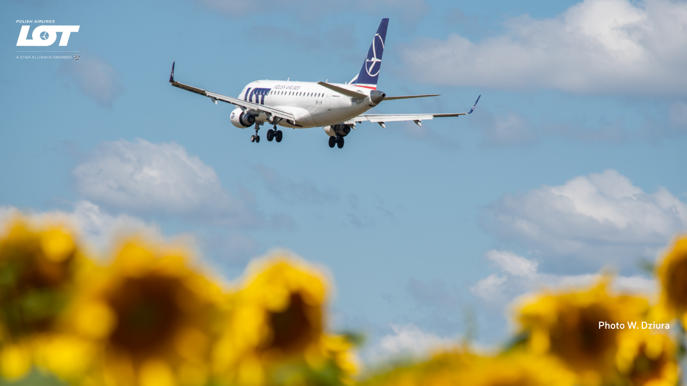 A photo of a plane hovering over the sky with sunflowers in the background