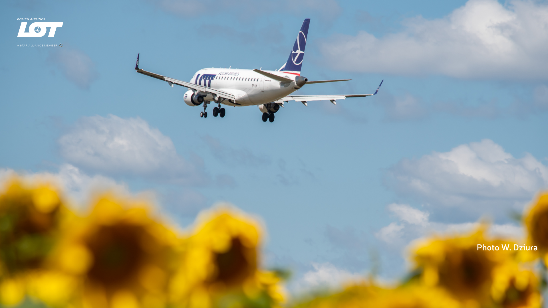 A photo of a plane hovering over the sky with sunflowers in the background