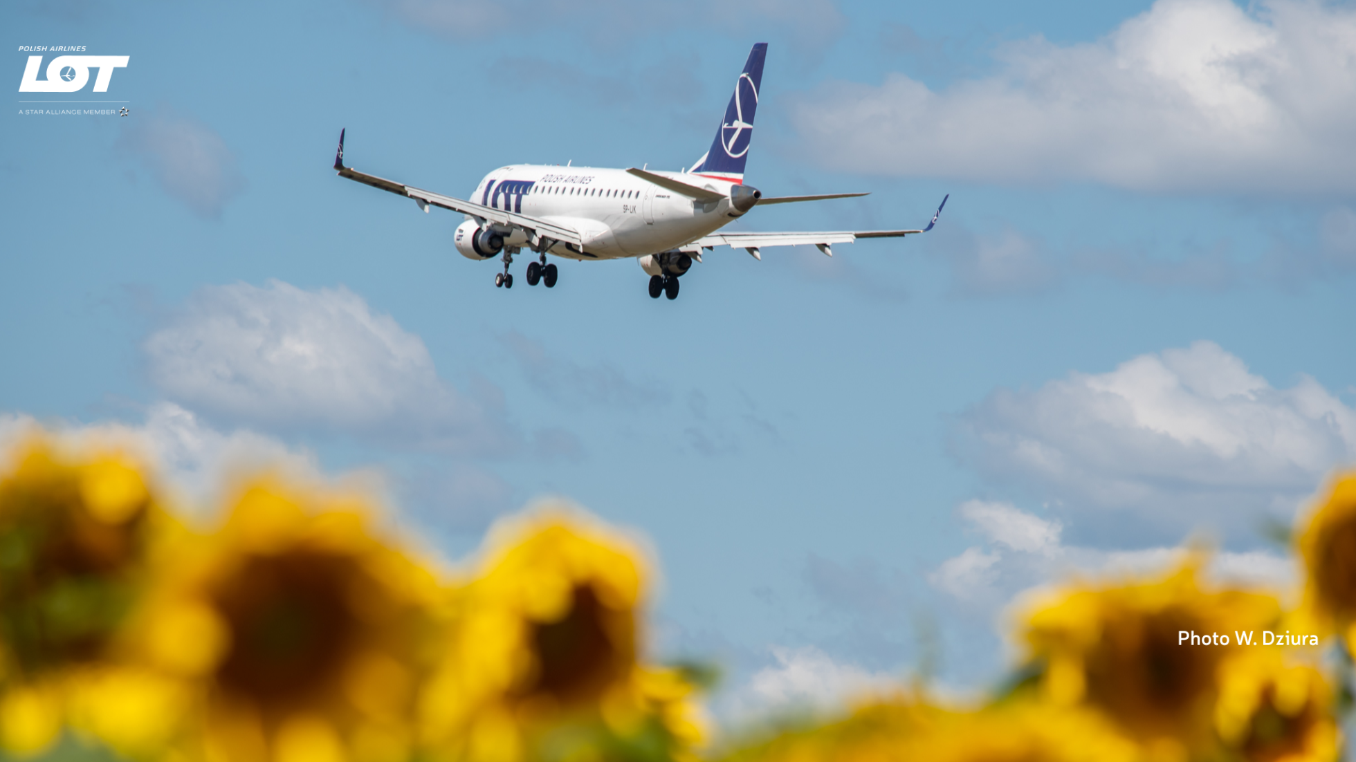A photo of a plane hovering over the sky with sunflowers in the background
