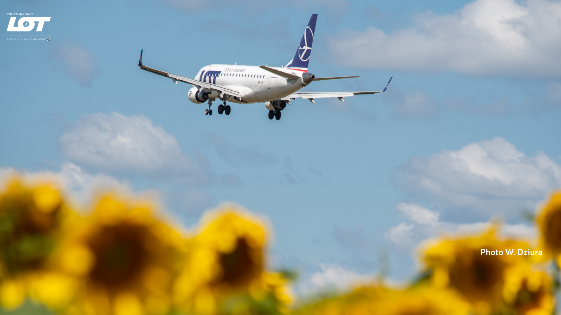 A photo of a plane hovering over the sky with sunflowers in the background
