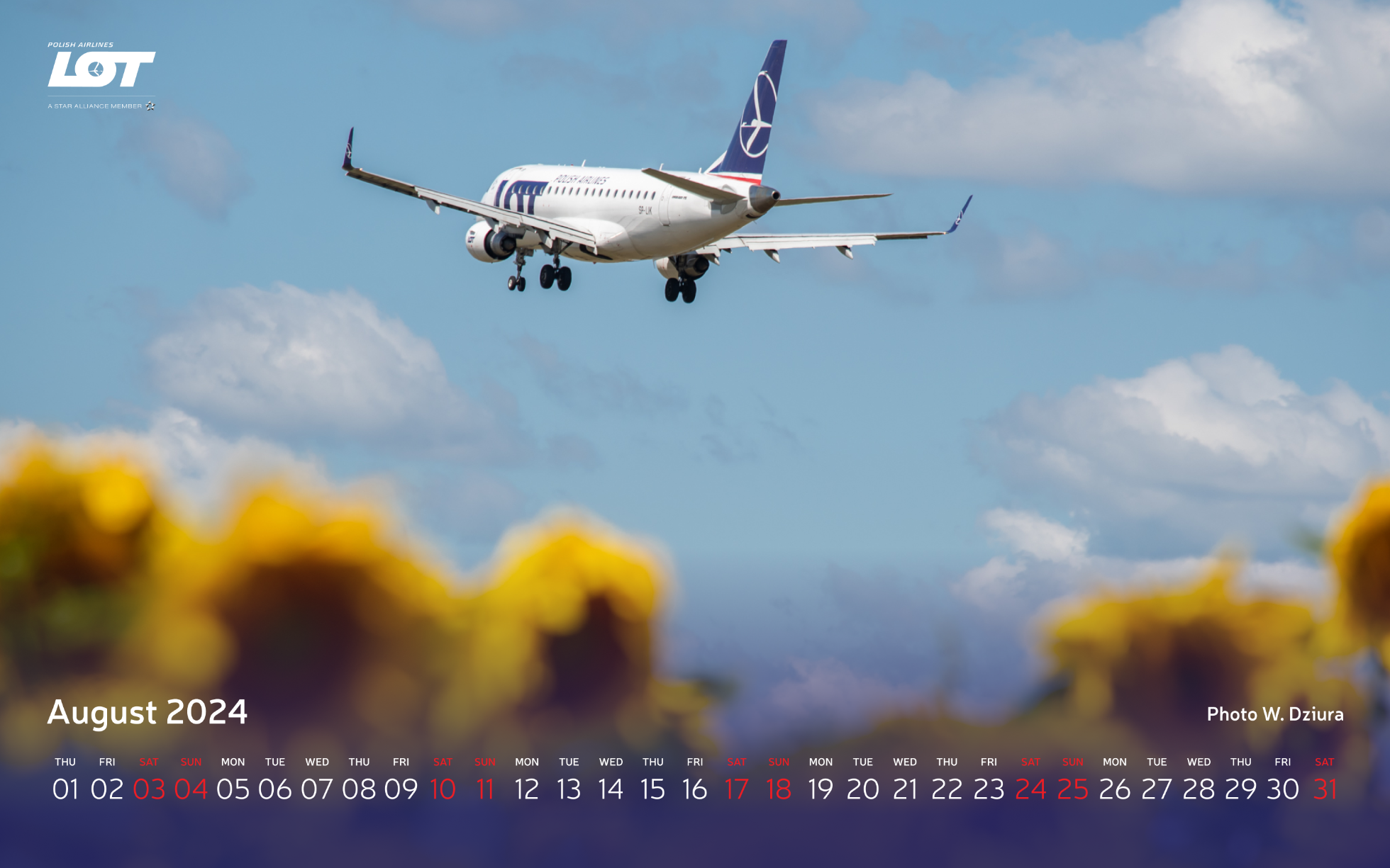 A photo of a plane hovering over the sky with sunflowers in the background