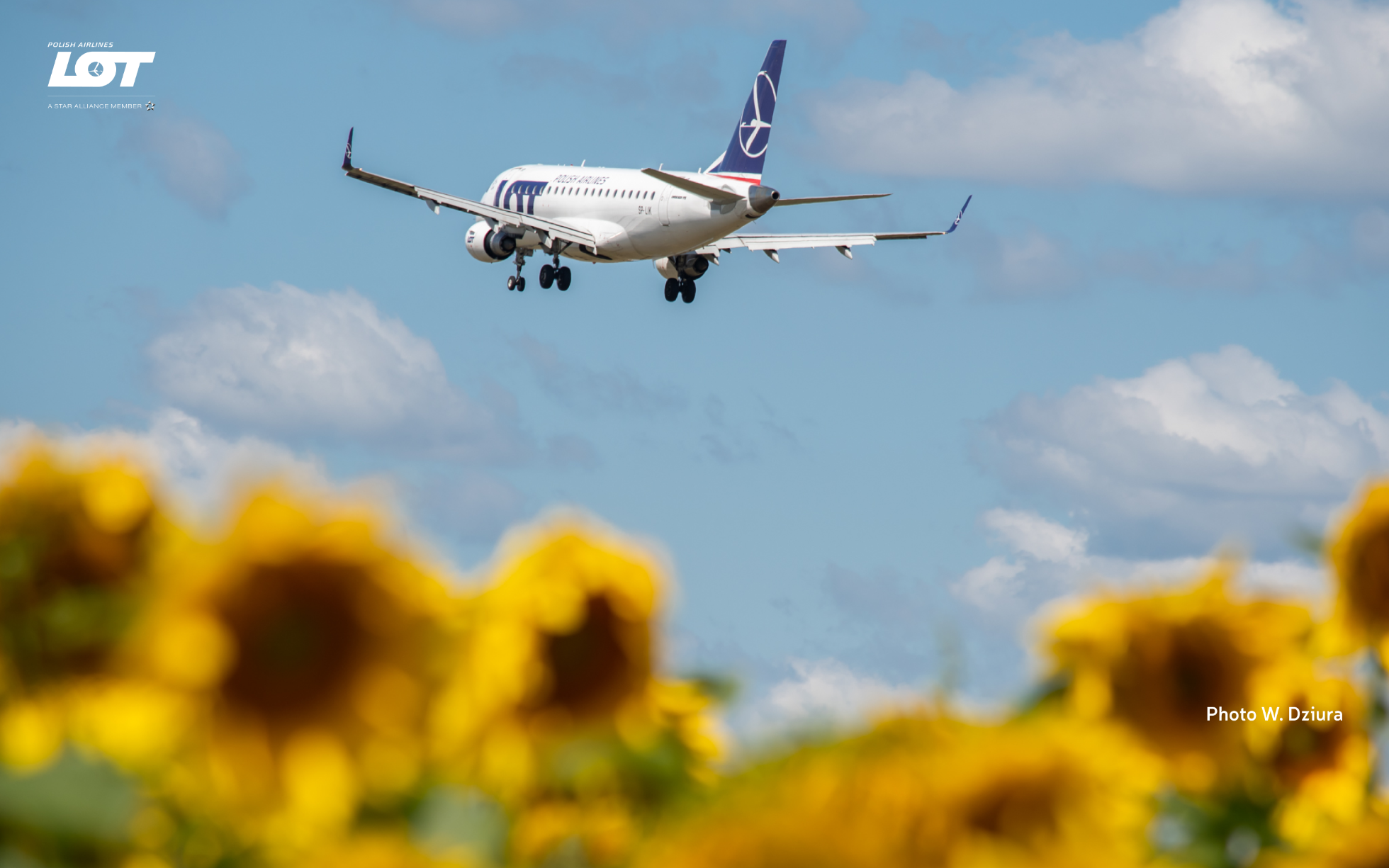 A photo of a plane hovering over the sky with sunflowers in the background