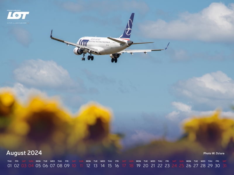 A photo of a plane hovering over the sky with sunflowers in the background