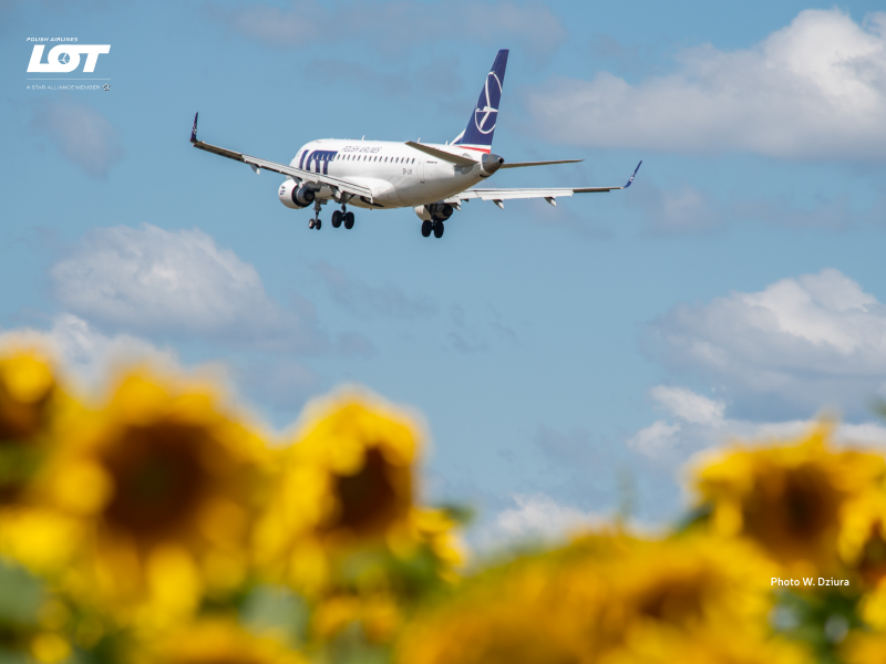 A photo of a plane hovering over the sky with sunflowers in the background