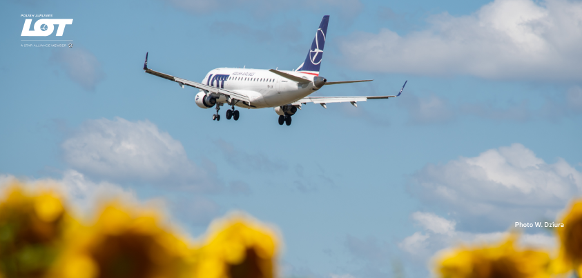 A photo of a plane hovering over the sky with sunflowers in the background