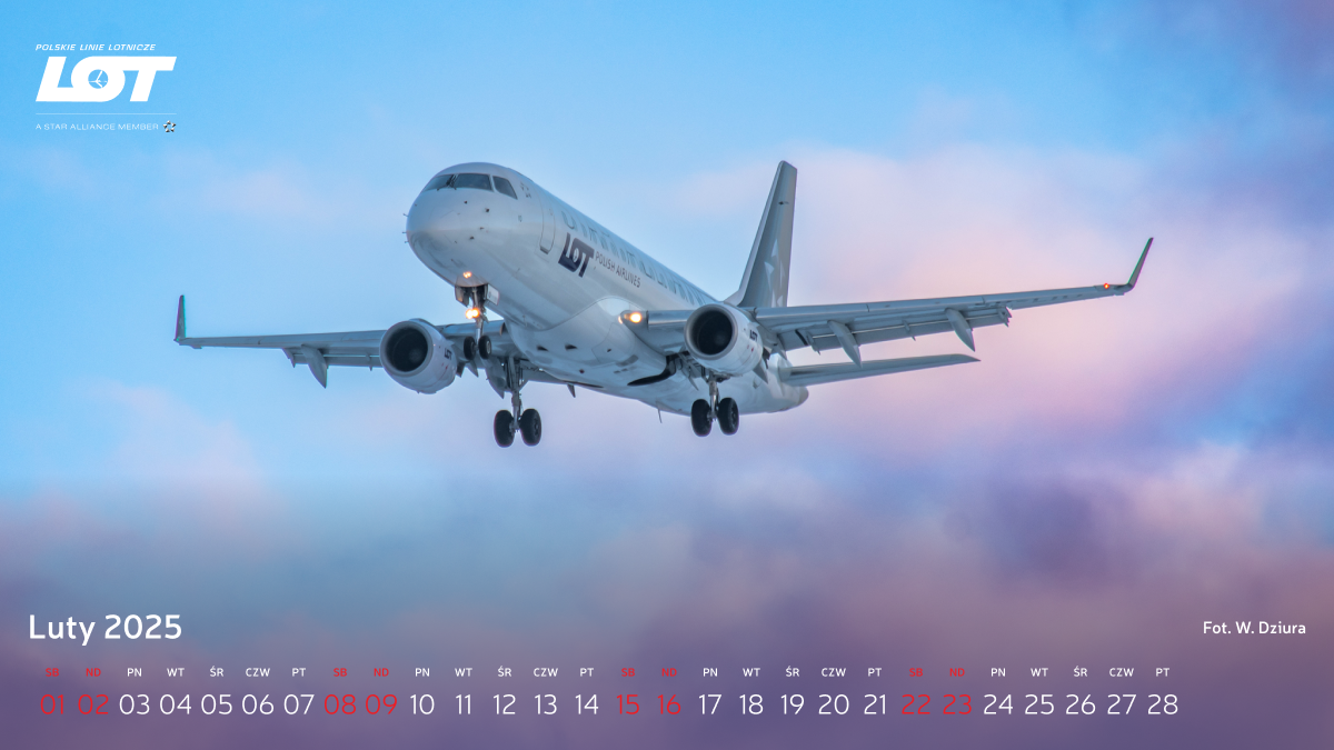 Samolot Embraer 175 linii LOT z logo Star Alliance unoszący się w niebieskim i różowym niebie.