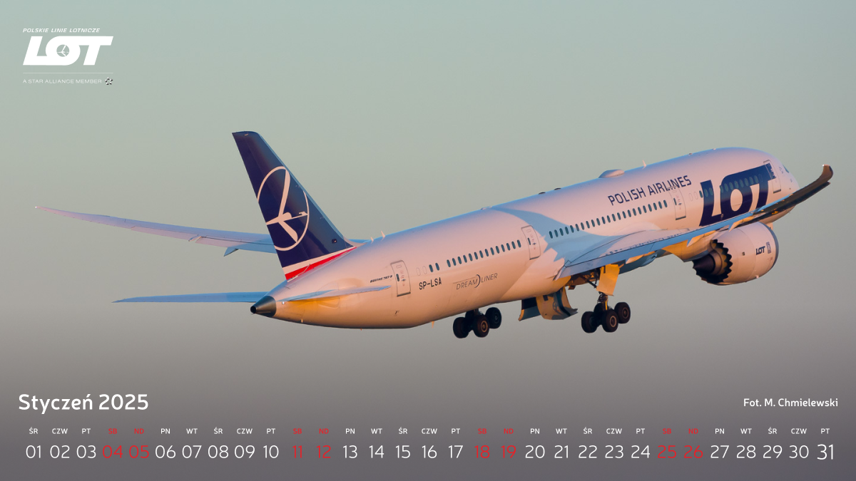 Samolot Dreamliner unoszący się w różowym niebie.