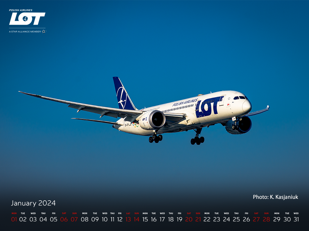 Boeing 787 Dreamliner soaring on a sunny day