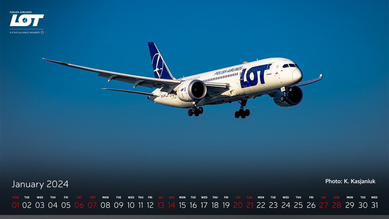Boeing 787 Dreamliner soaring on a sunny day