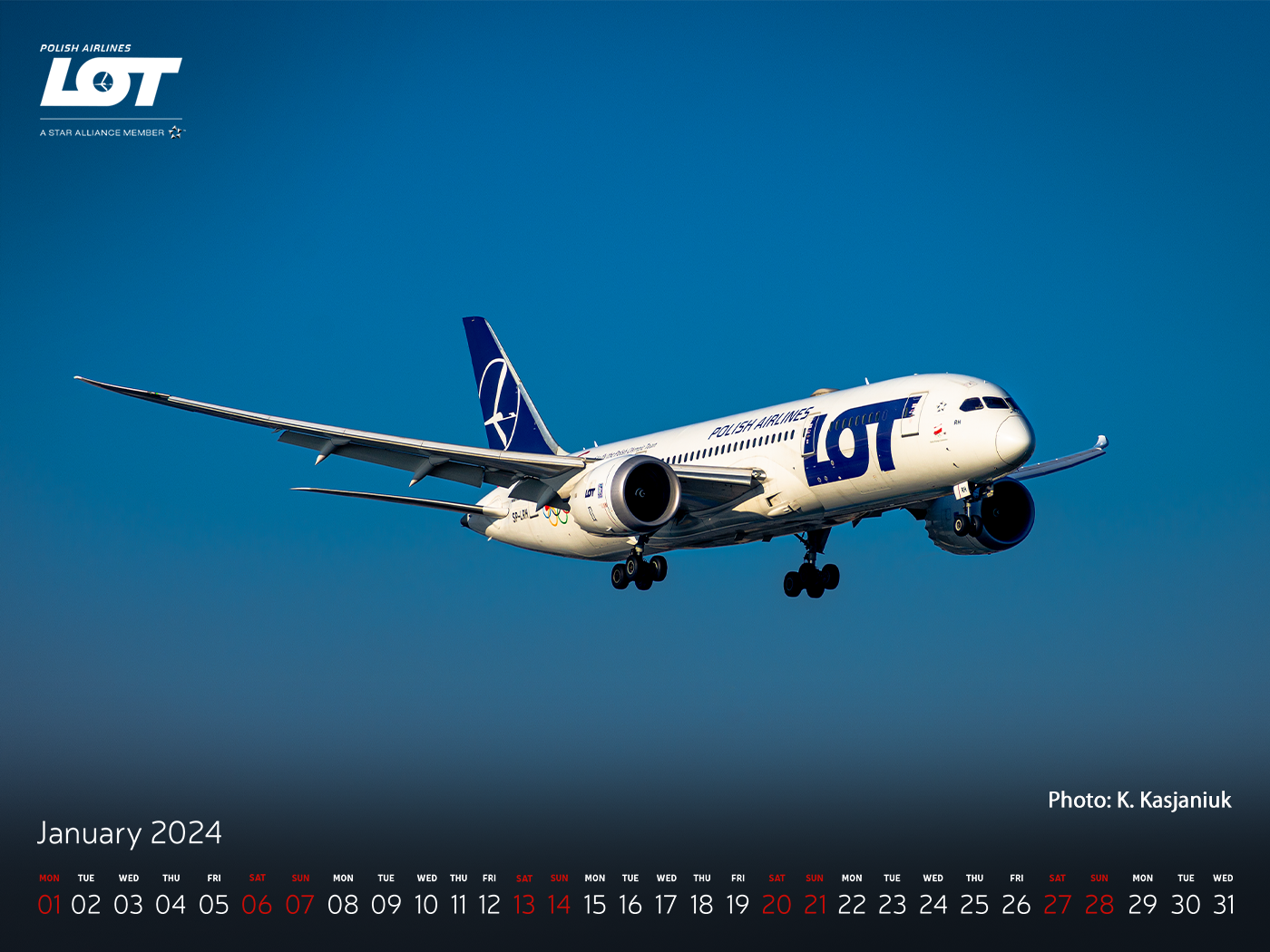 Boeing 787 Dreamliner soaring on a sunny day