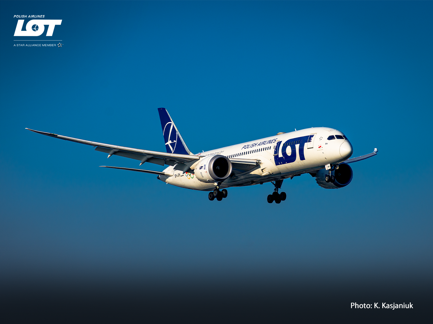 Boeing 787 Dreamliner soaring on a sunny day