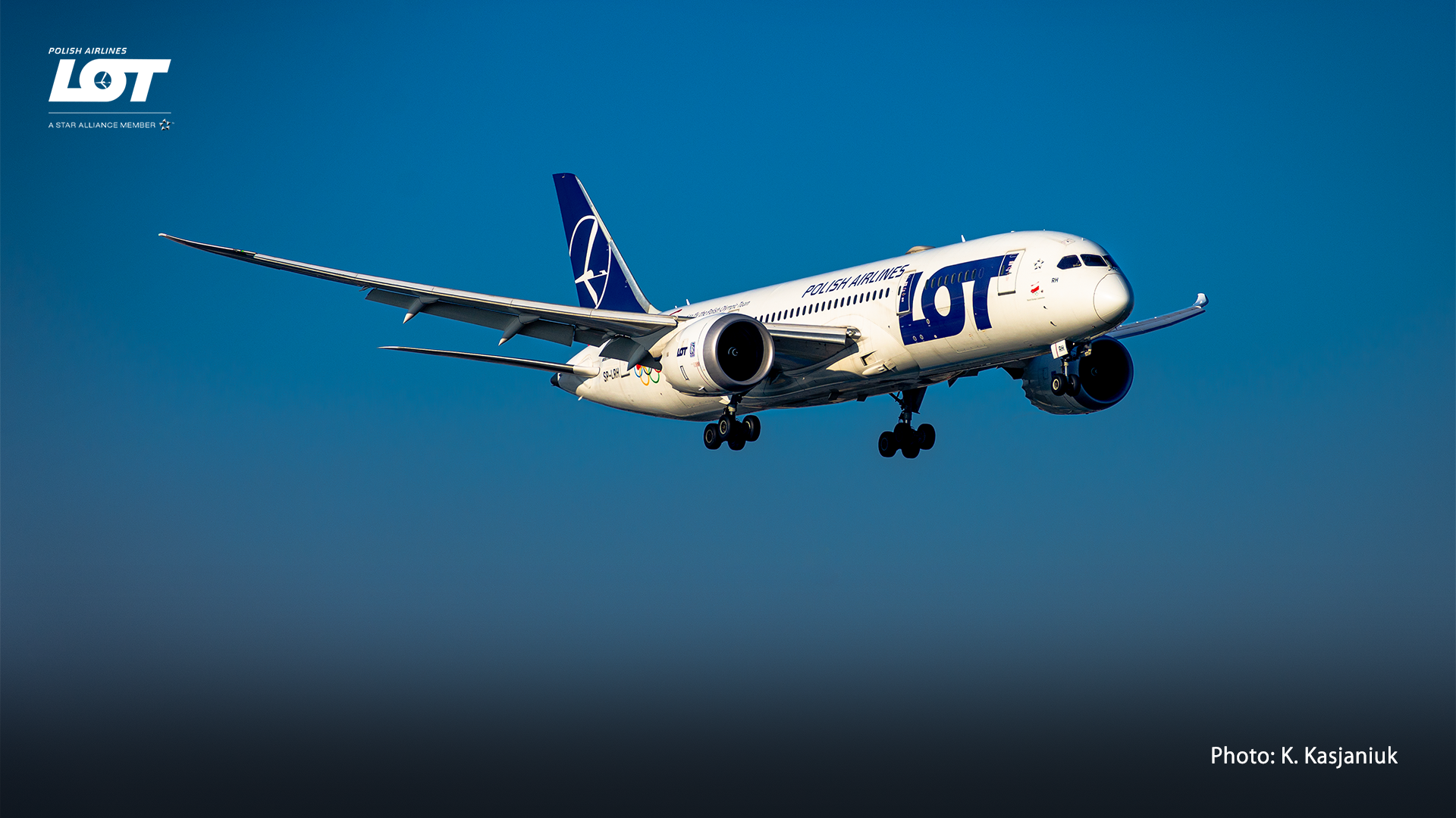 Boeing 787 Dreamliner soaring on a sunny day