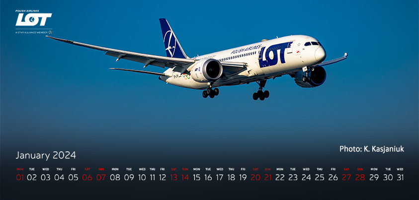 Boeing 787 Dreamliner soaring on a sunny day
