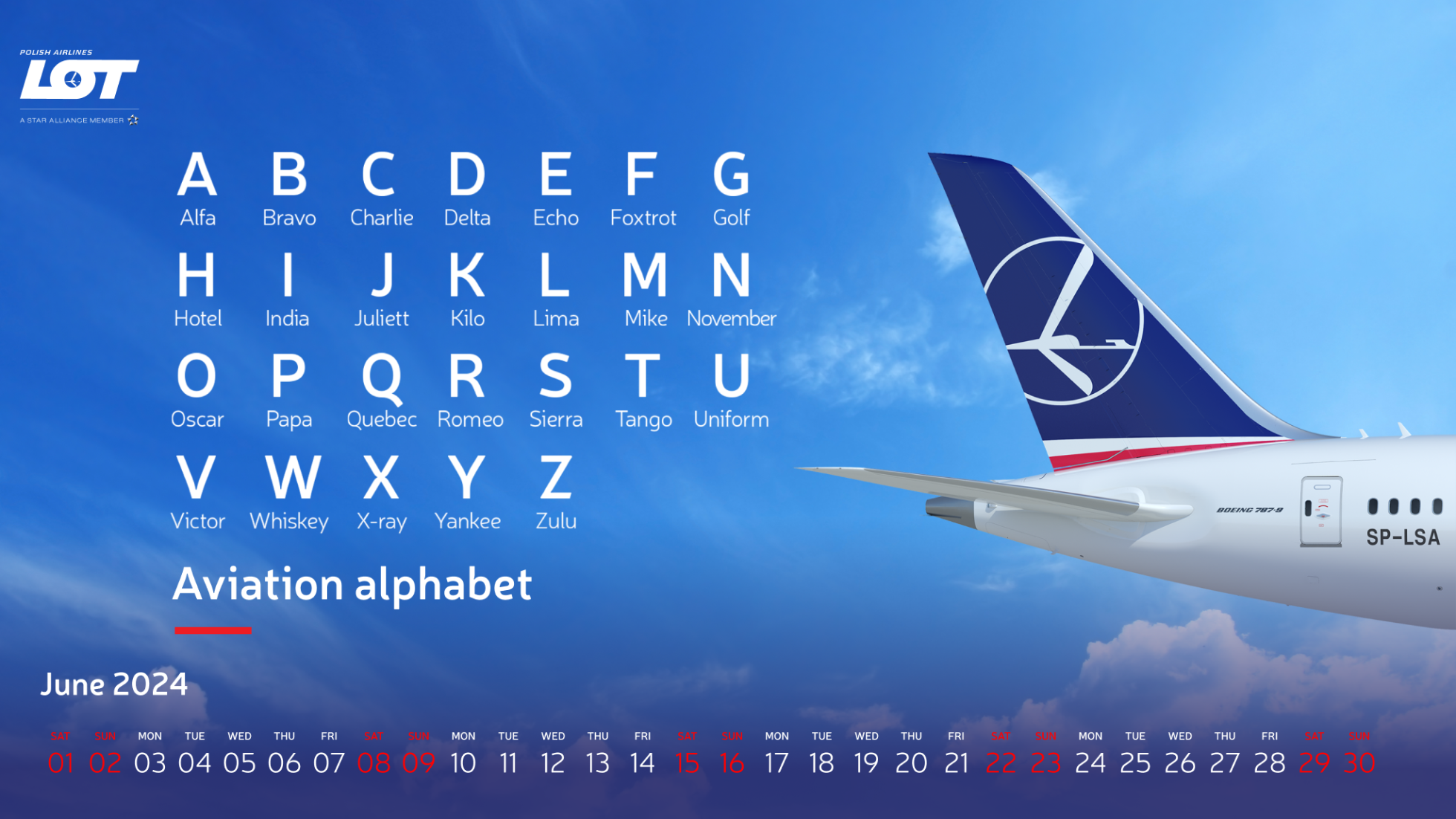 Passenger plane of LOT Polish Airlines against the sky.