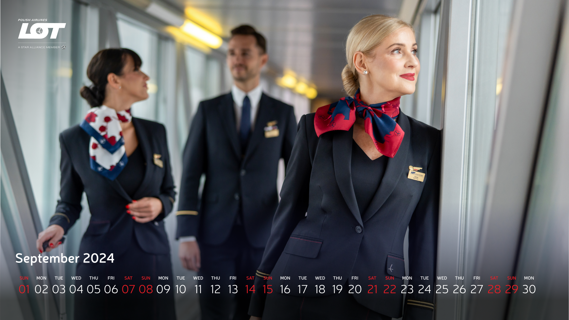 The flight crew walking through the tunnel to the airport wearing hollyhock scarves