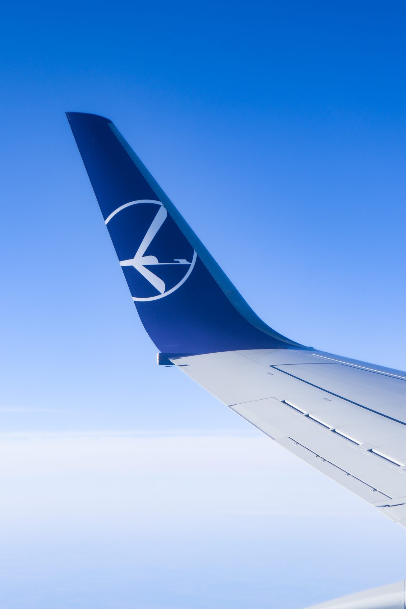 Mobile wallpaper: winglet on the blue sky during flight