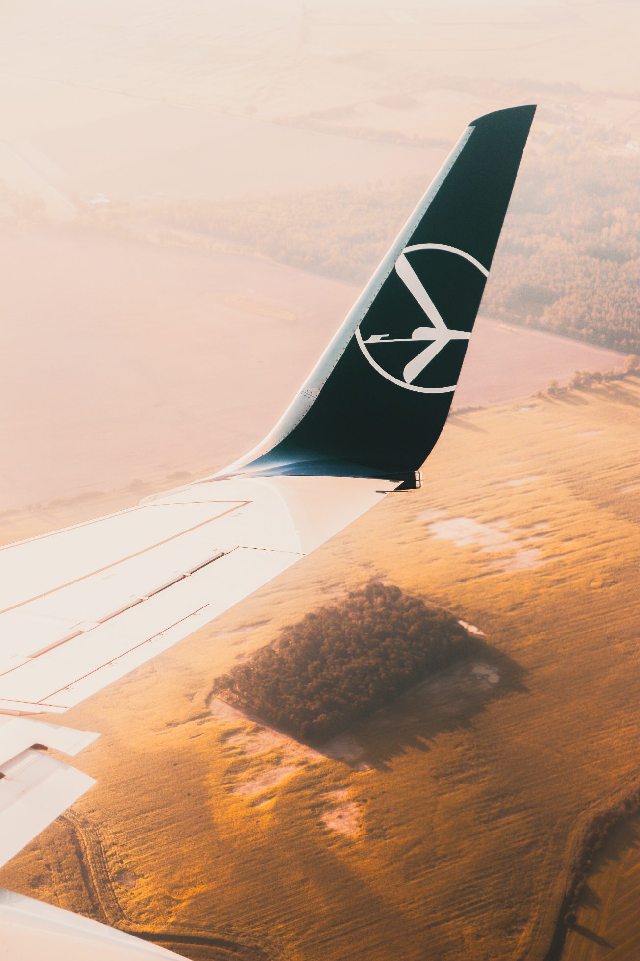 Skrzydło Boeinga 737-800 podczas lądowania w słoneczny, ale lekko mglisty poranek - tapety na telefon