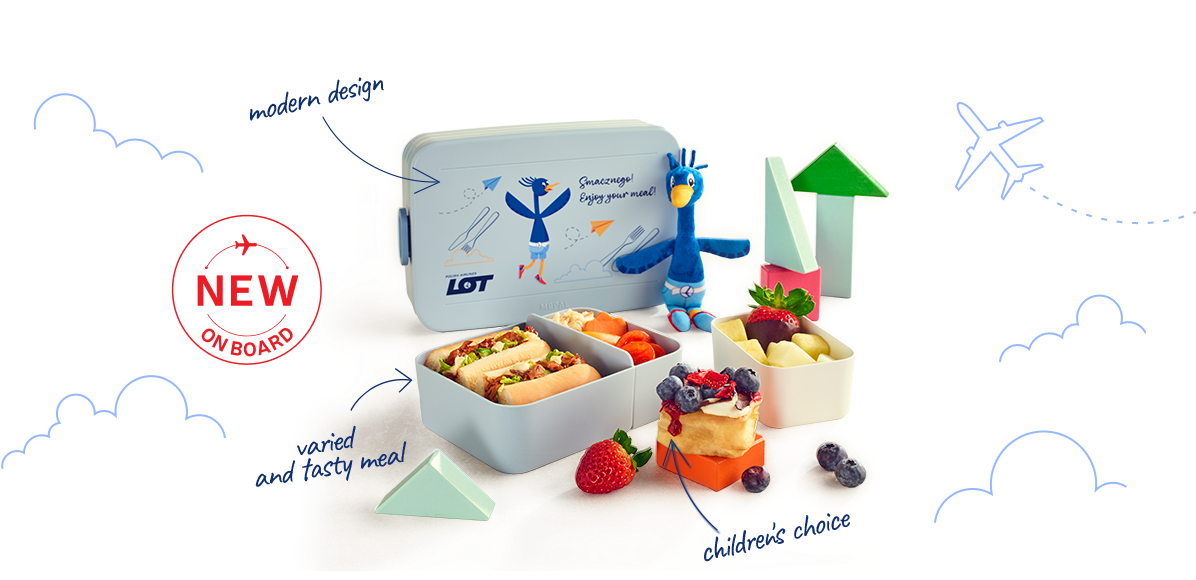 Photo shows an in-flight meal lunchbox.