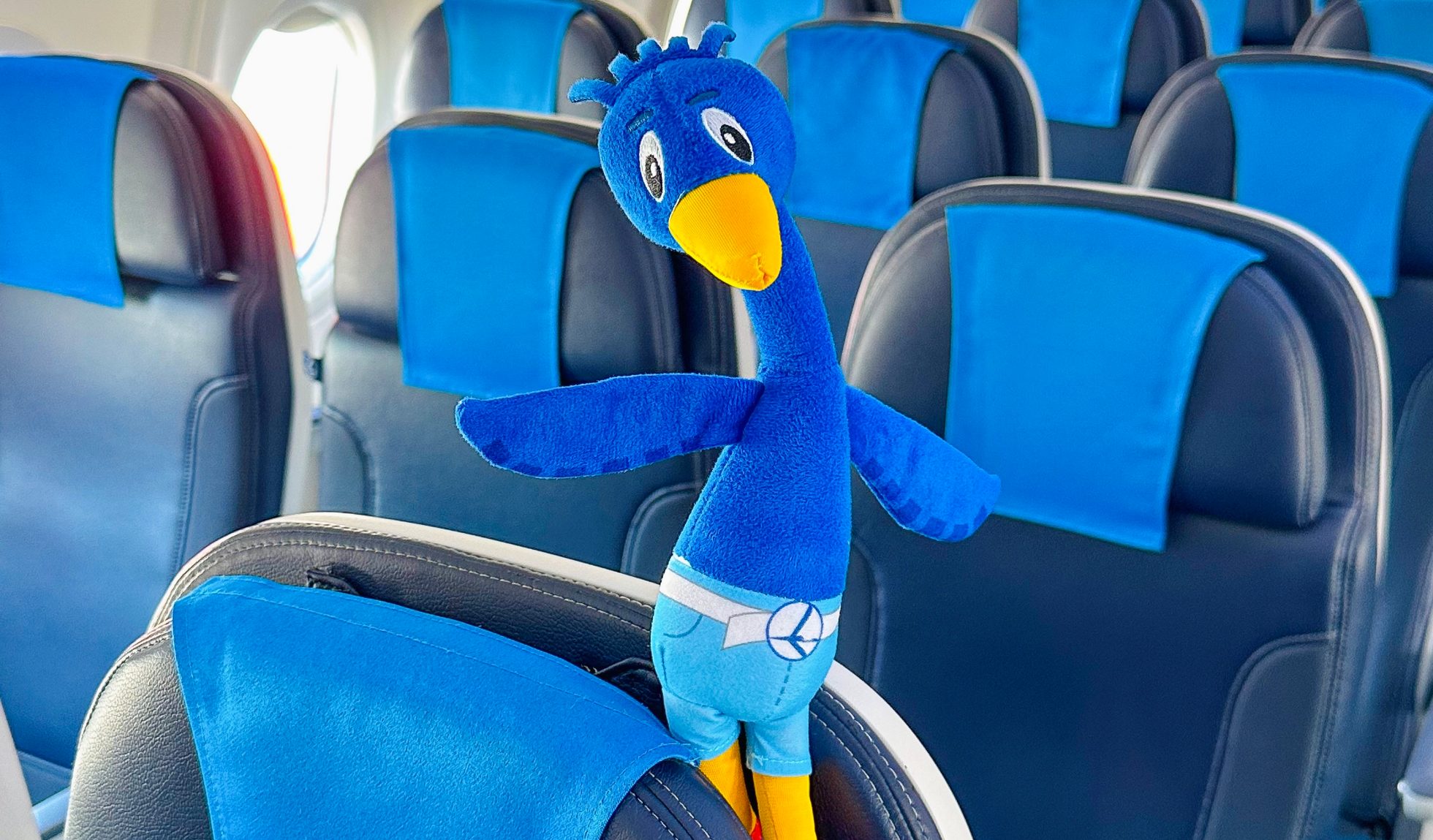 Mascot of the ailerons in the Boeing 737 Max cabin