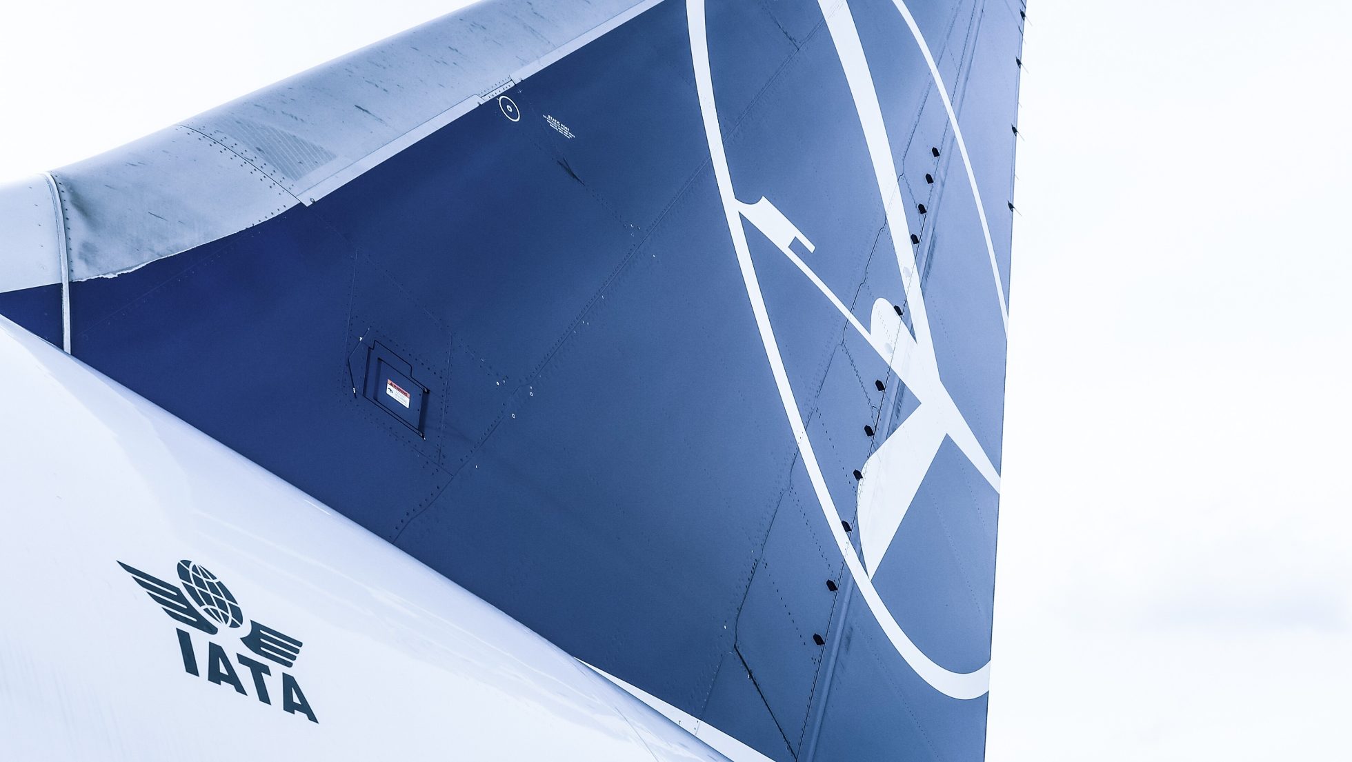 statecznik pionowy Boeinga 787 Dreamliner z logiem żurawia, kody IATA