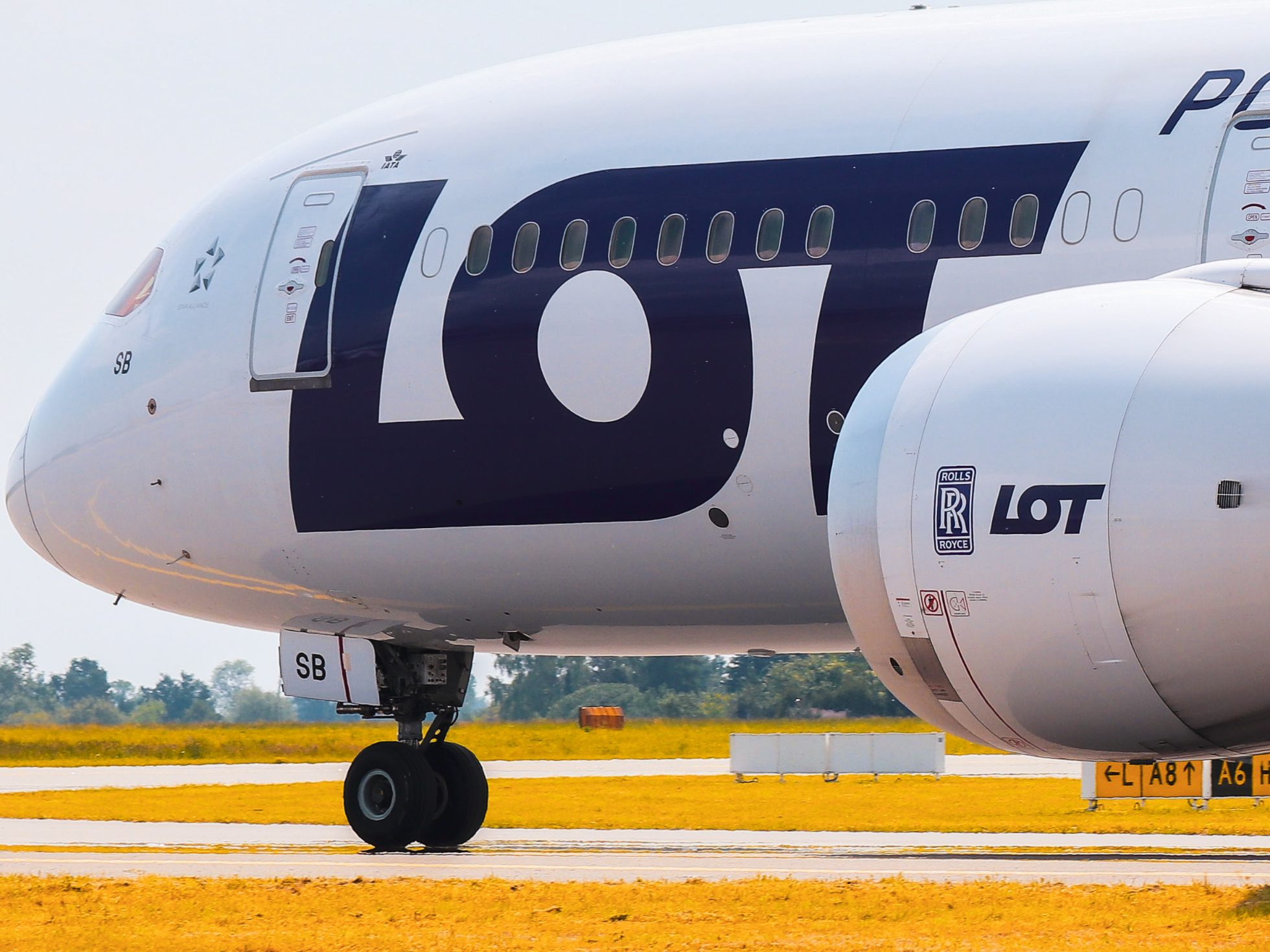 Boeing 787 Dreamliner en la pista